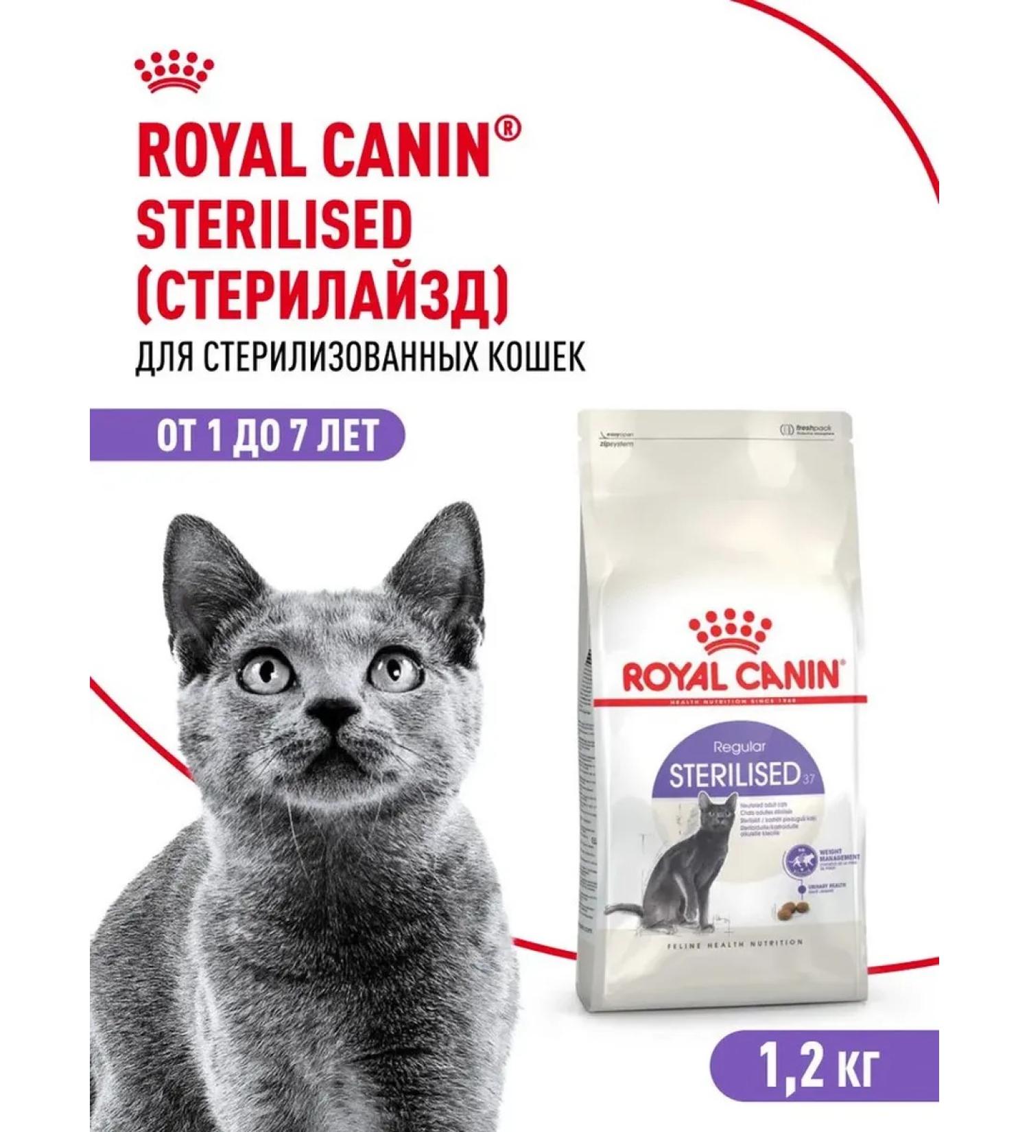 ROYAL CANIN Royal Kanin dry food for sterilized cats 1.2 kg - Buy Online on GoSupps.com