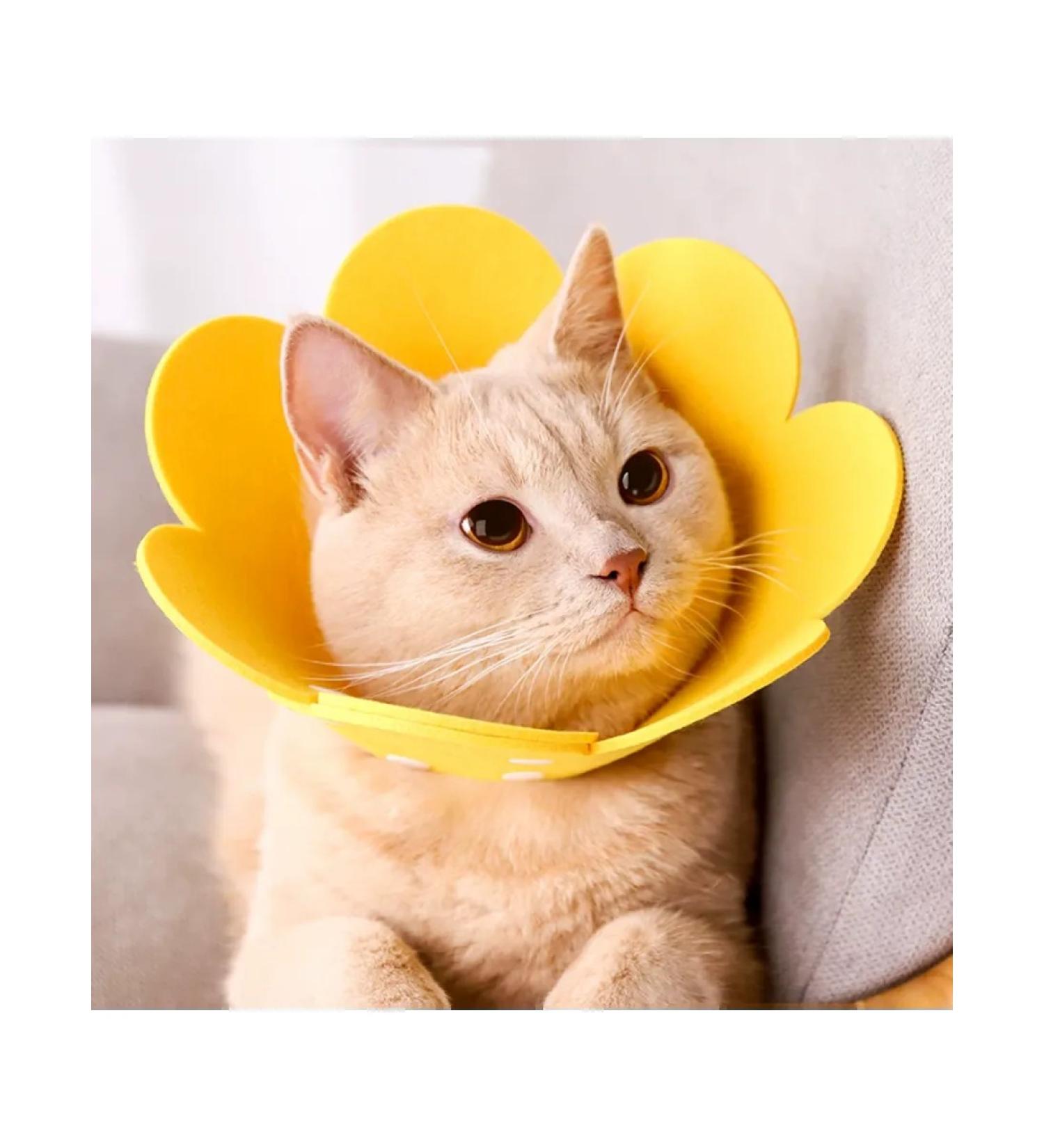 Collar for sterilization of cats yellow sunflower XS - Buy Online on GoSupps.com