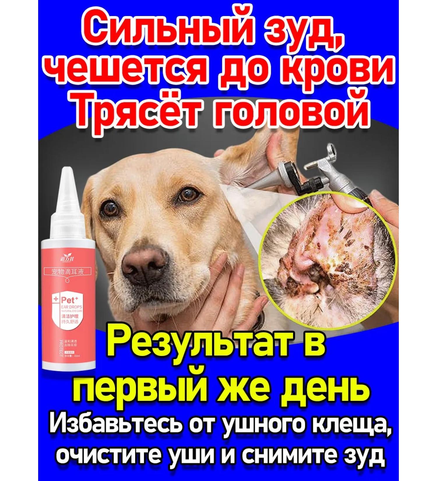 Ear drops for cats and dogs 60 ml - Buy Online on GoSupps.com