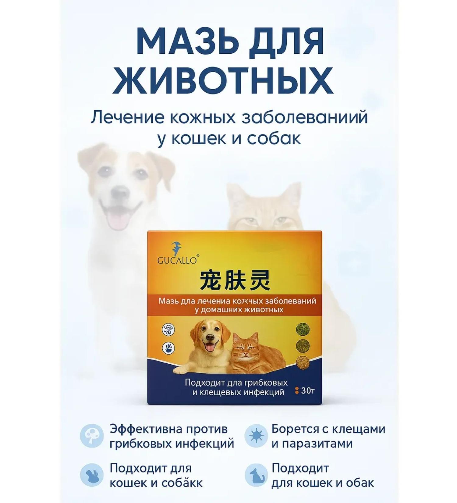 Baxtli Ointment for the treatment of skin diseases in animals 30 grams - Buy Online on GoSupps.com