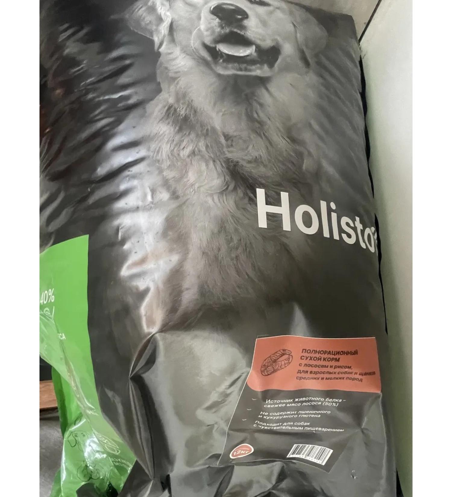 HOLISTOFF Puppy for dogs and puppies with salmon and rice 12 kg - Buy Online on GoSupps.com