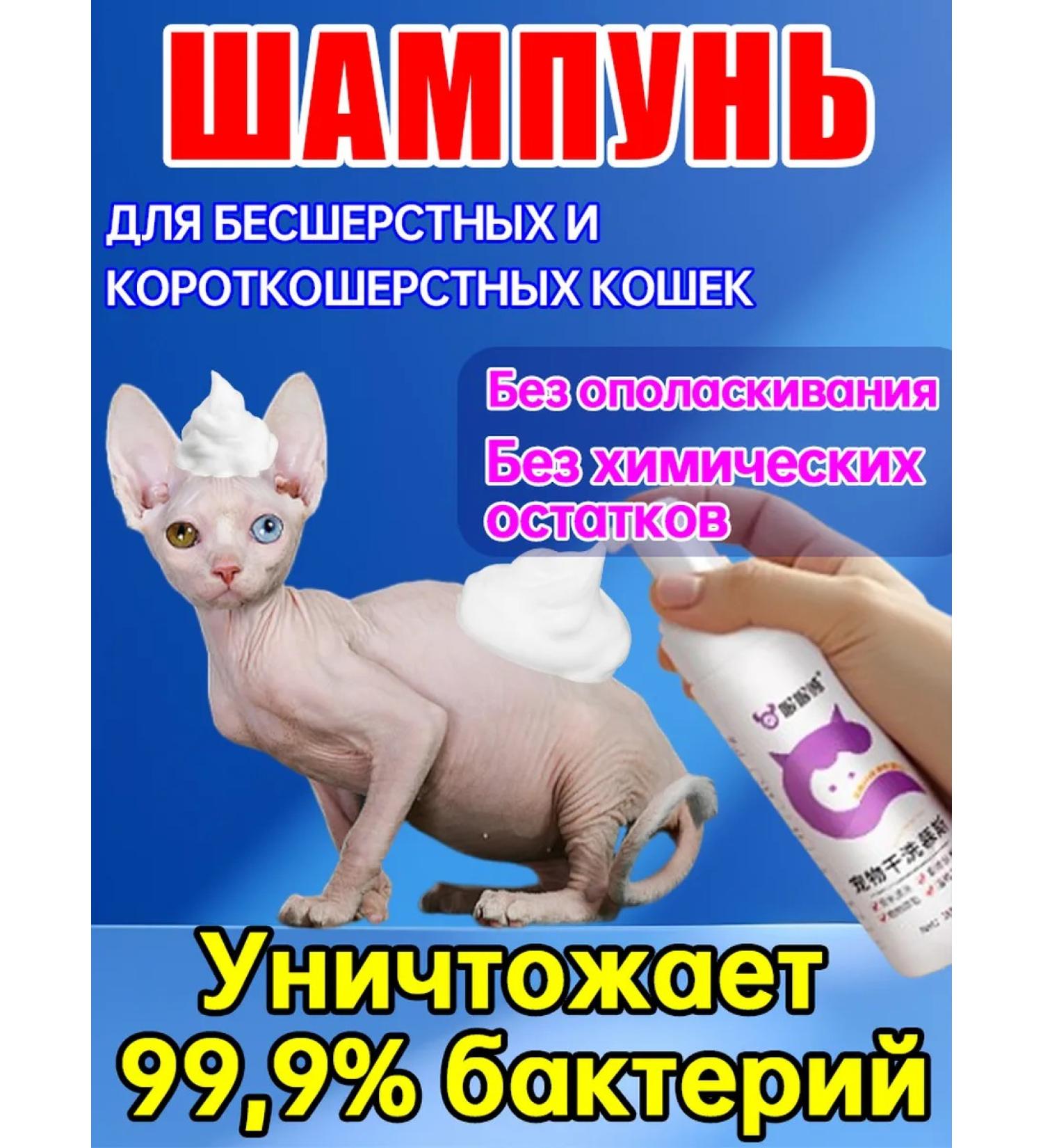 Sphinx shampoo for non -performed and short -haired cats - Buy Online on GoSupps.com