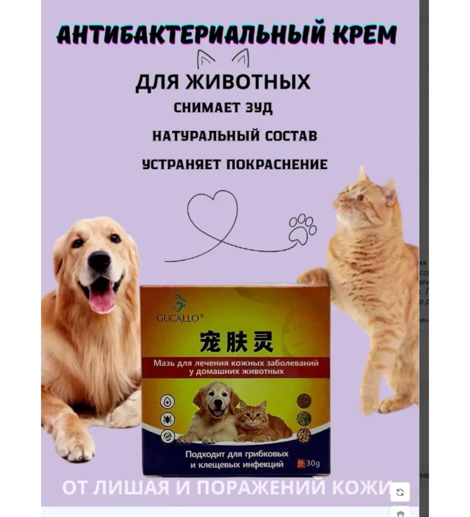 Mooney Antibacterial ointment for dogs and cats from lichen - Buy Online on GoSupps.com