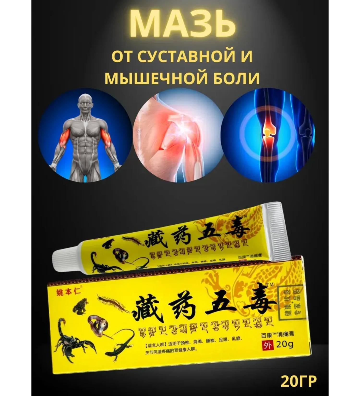Vlar BEAUTY Ointment from pain in the joints of hernias spine - Buy Online on GoSupps.com