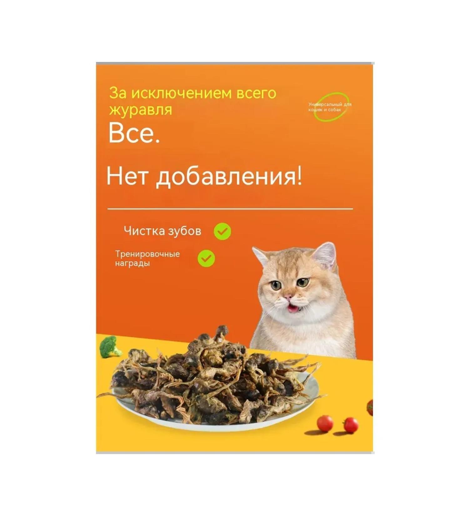 200 g of dried quails - a treat for pets - Buy Online on GoSupps.com