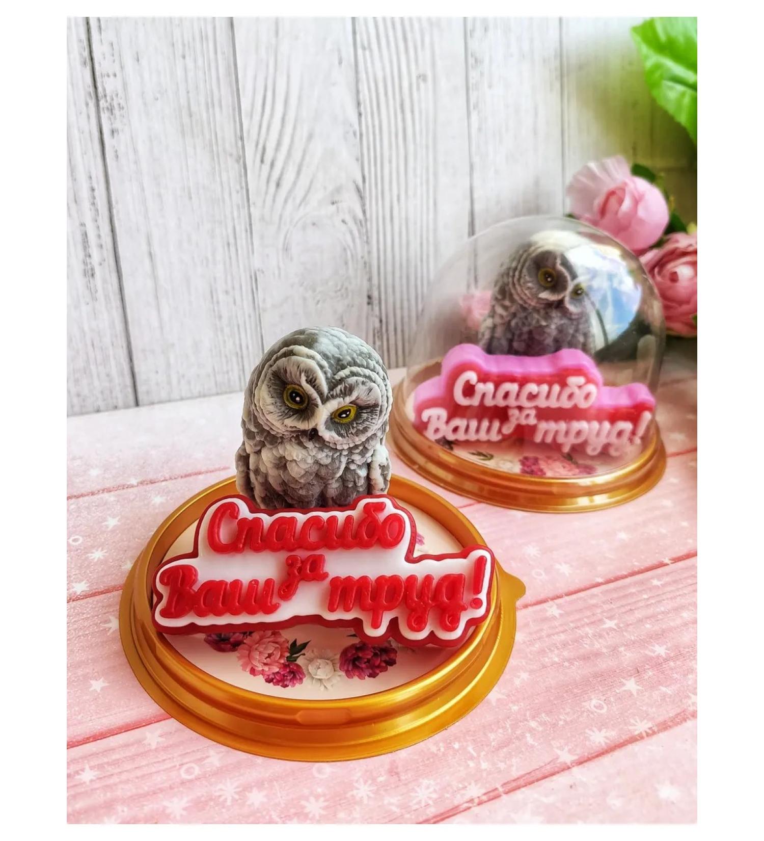 Sweet Soap Wise owl in the dome souvenir soap gift to the teacher - Buy Online on GoSupps.com