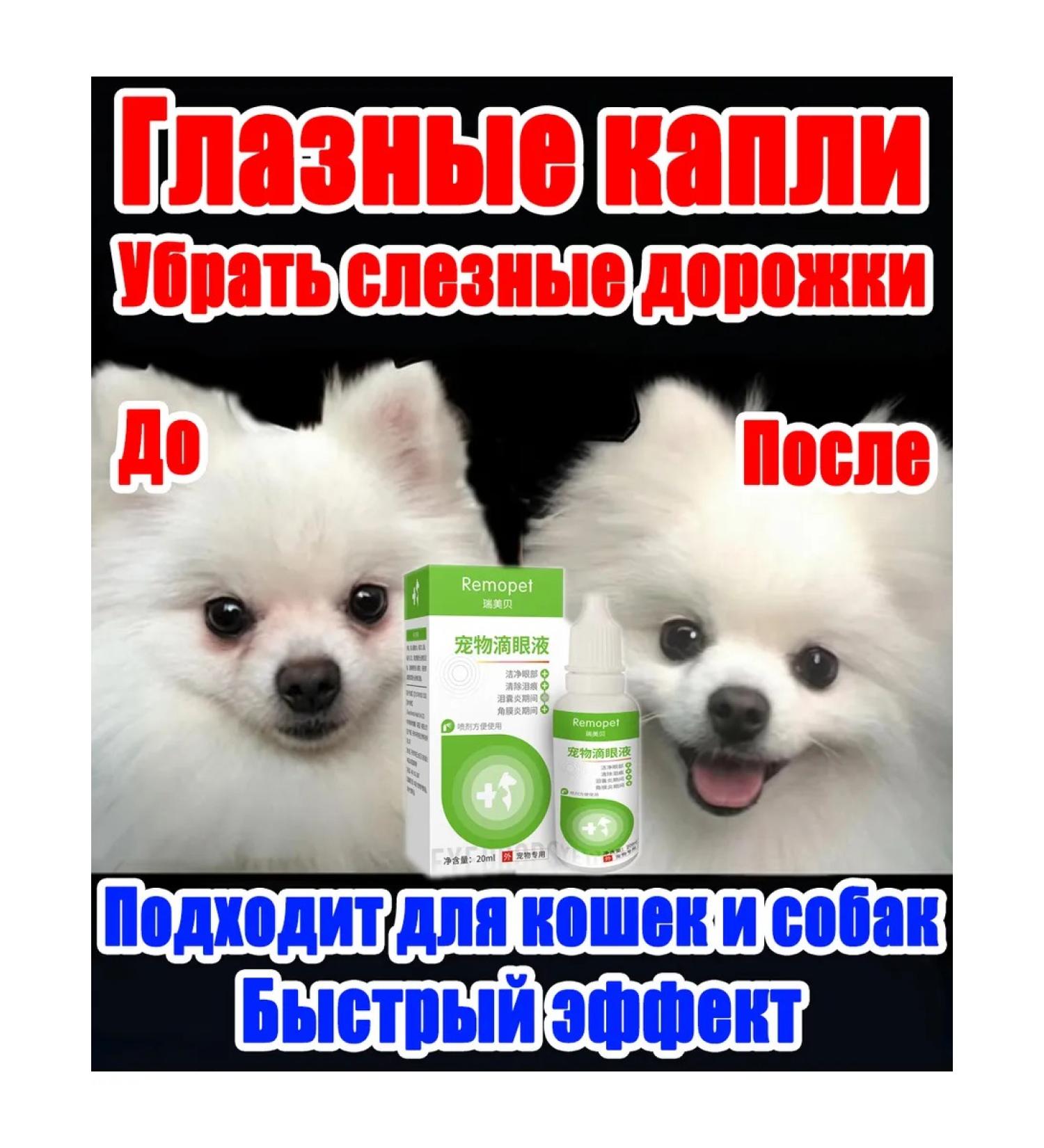 Eye drops for dogs from lacrimal paths and pus 20 ml - Buy Online on GoSupps.com