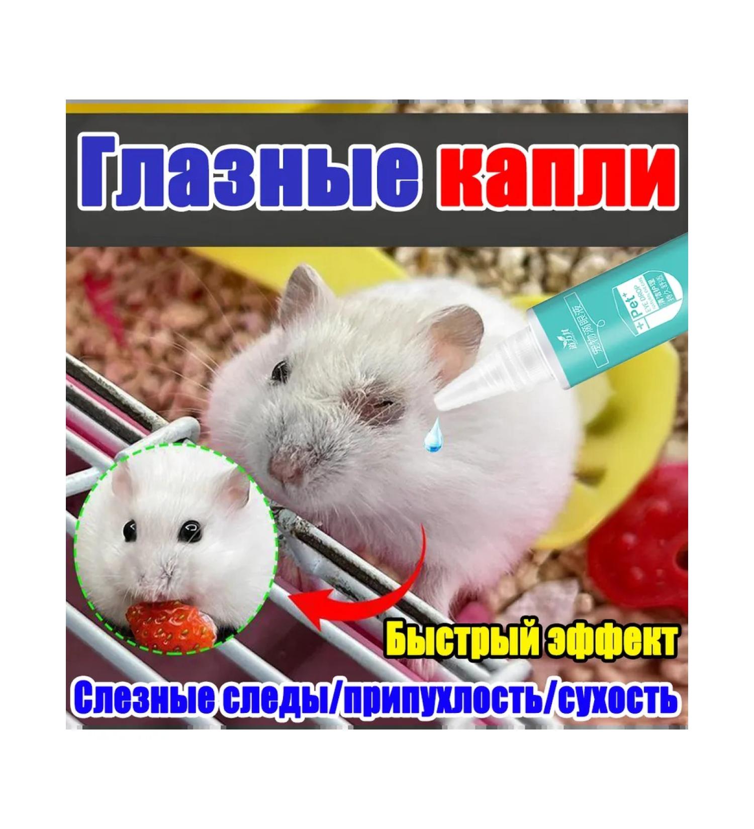 Anti -inflammatory eye drops for animals 60 ml - Buy Online on GoSupps.com