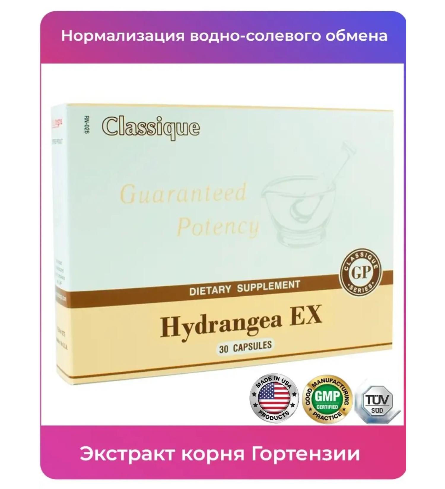 Santegra The root of the hydrangea Santera - Buy Online on GoSupps.com