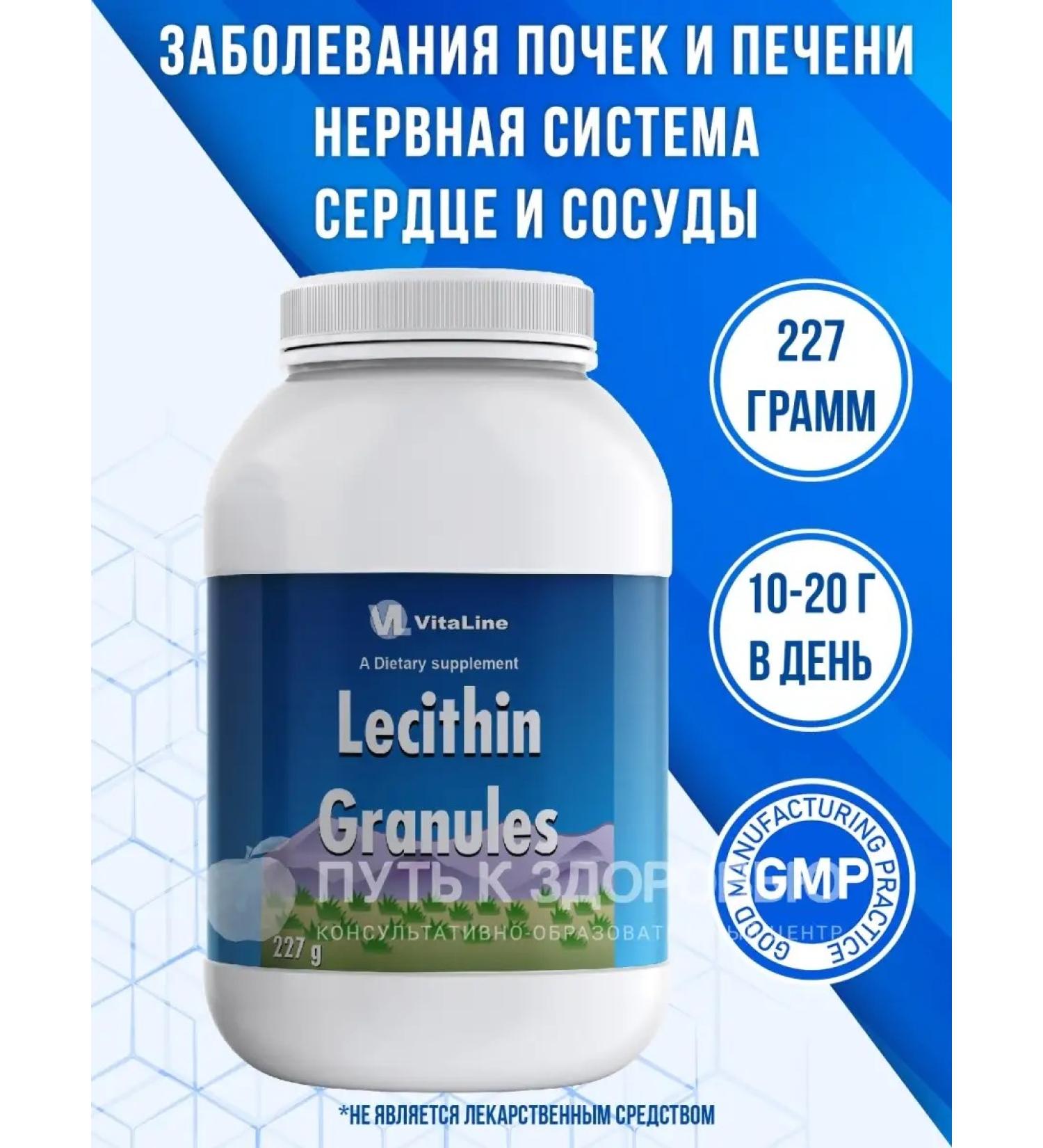 Vitalinespb Lecithin to normalize the nervous system - Buy Online on GoSupps.com