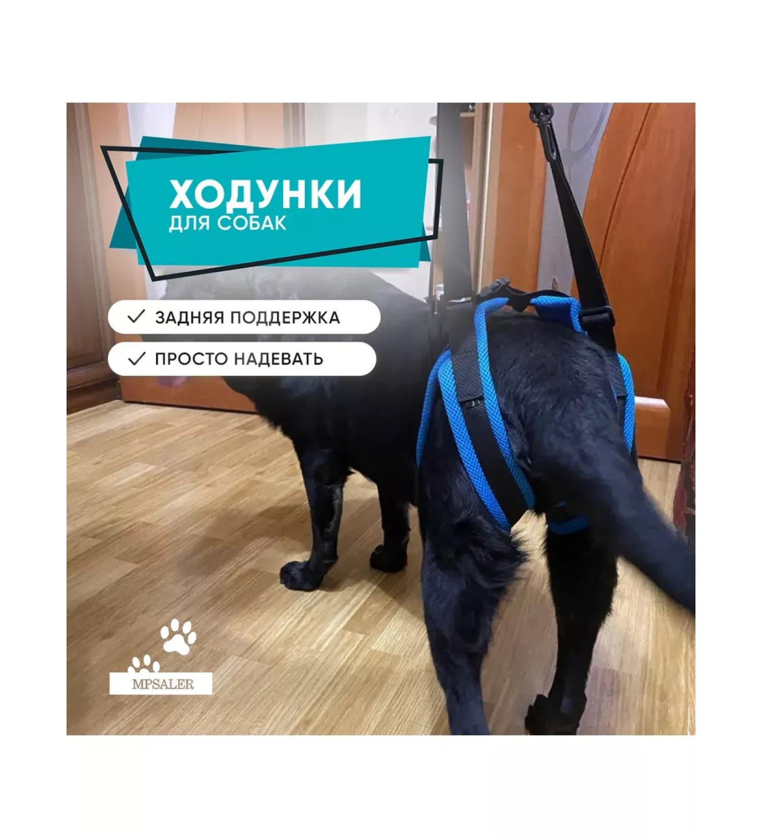 Help for dogs rear support - Buy Online on GoSupps.com