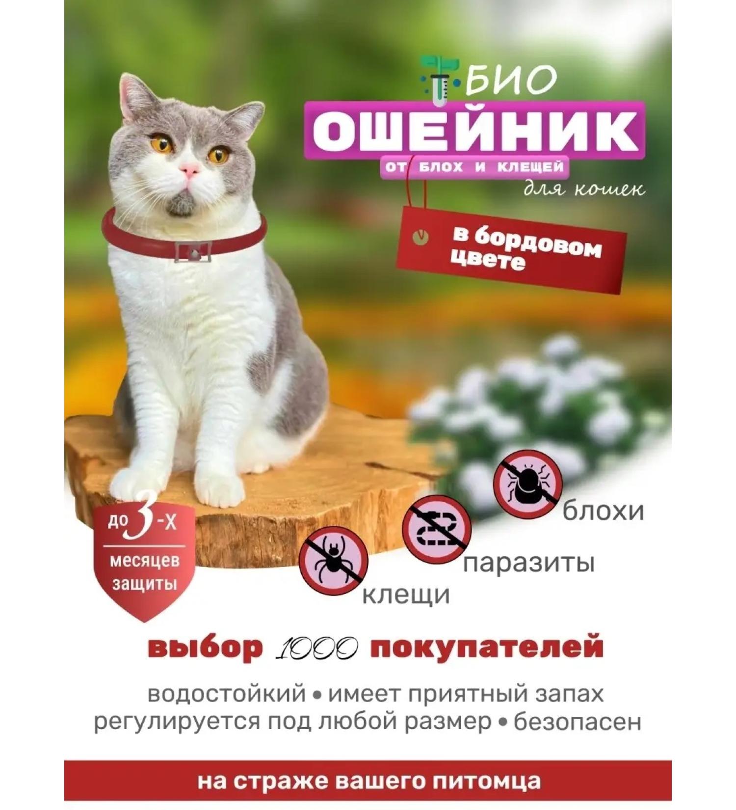 GOOD CAT Flea and ticks collar 35 cm - Buy Online on GoSupps.com