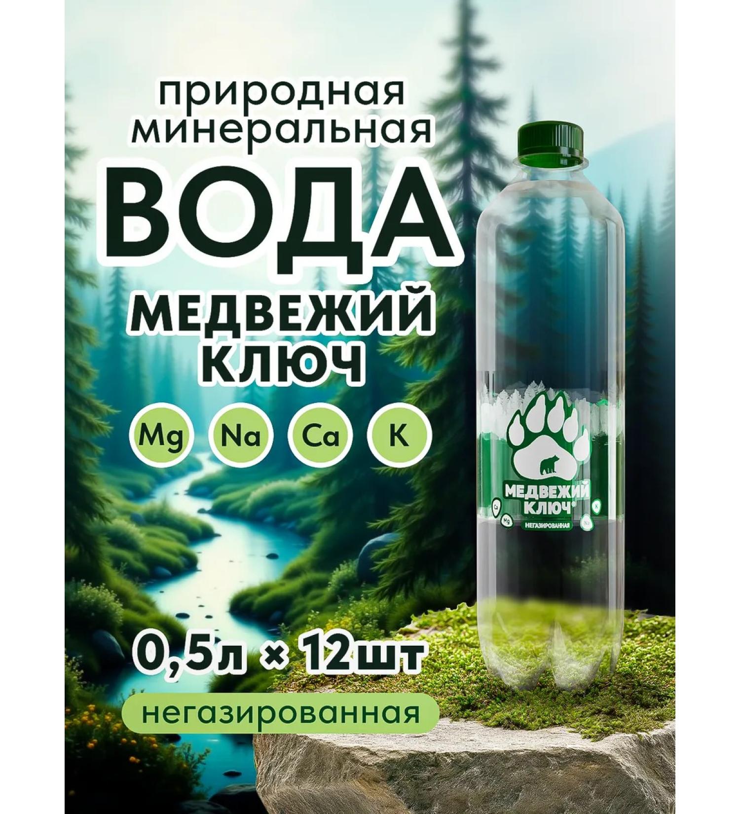 Bear Key Mineral water with magnesium non -carbonated 12pcs of 0.5 liters - Buy Online on GoSupps.com