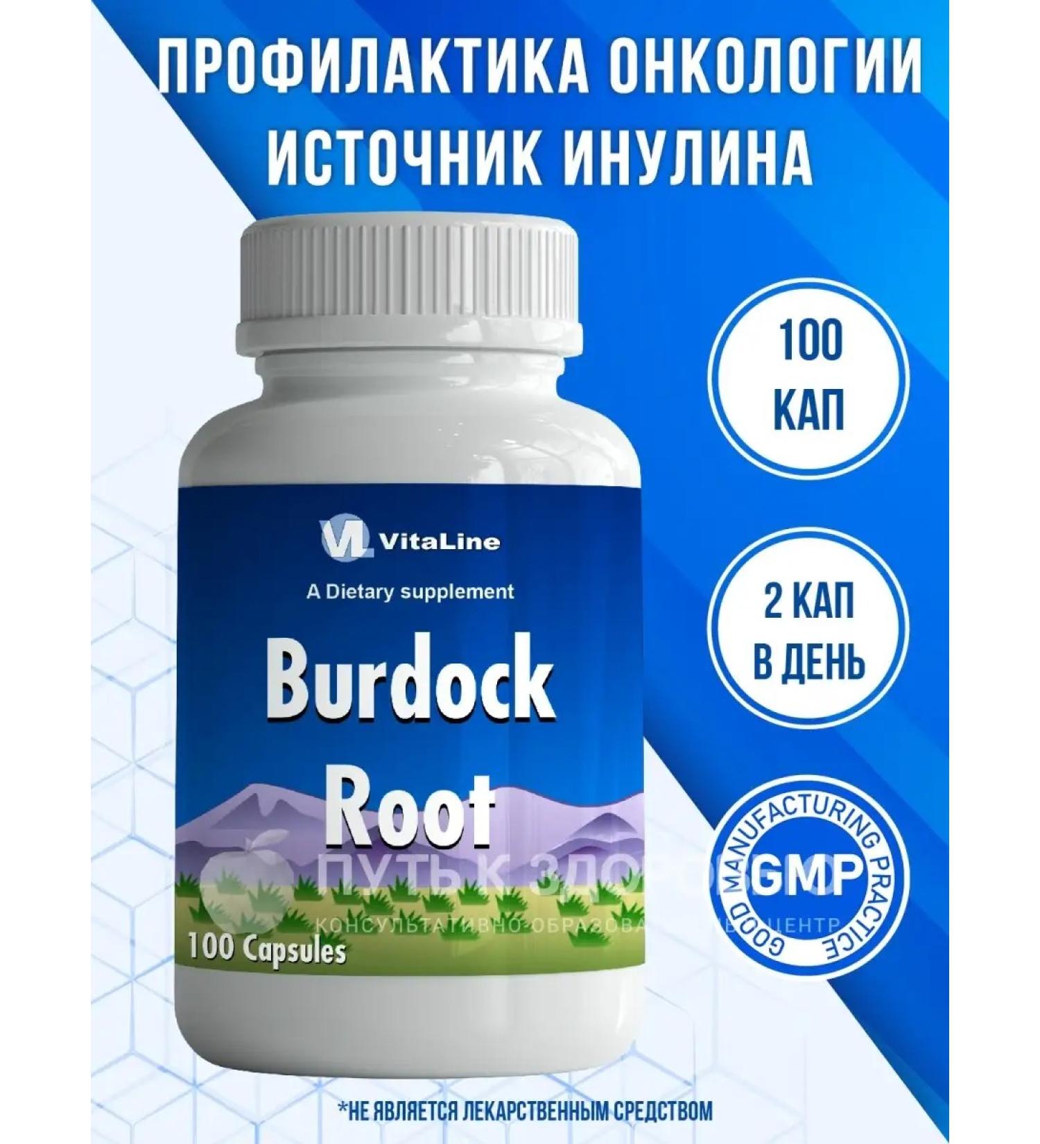 Vitalinespb Burdock roots for metabolic processes - Buy Online on GoSupps.com