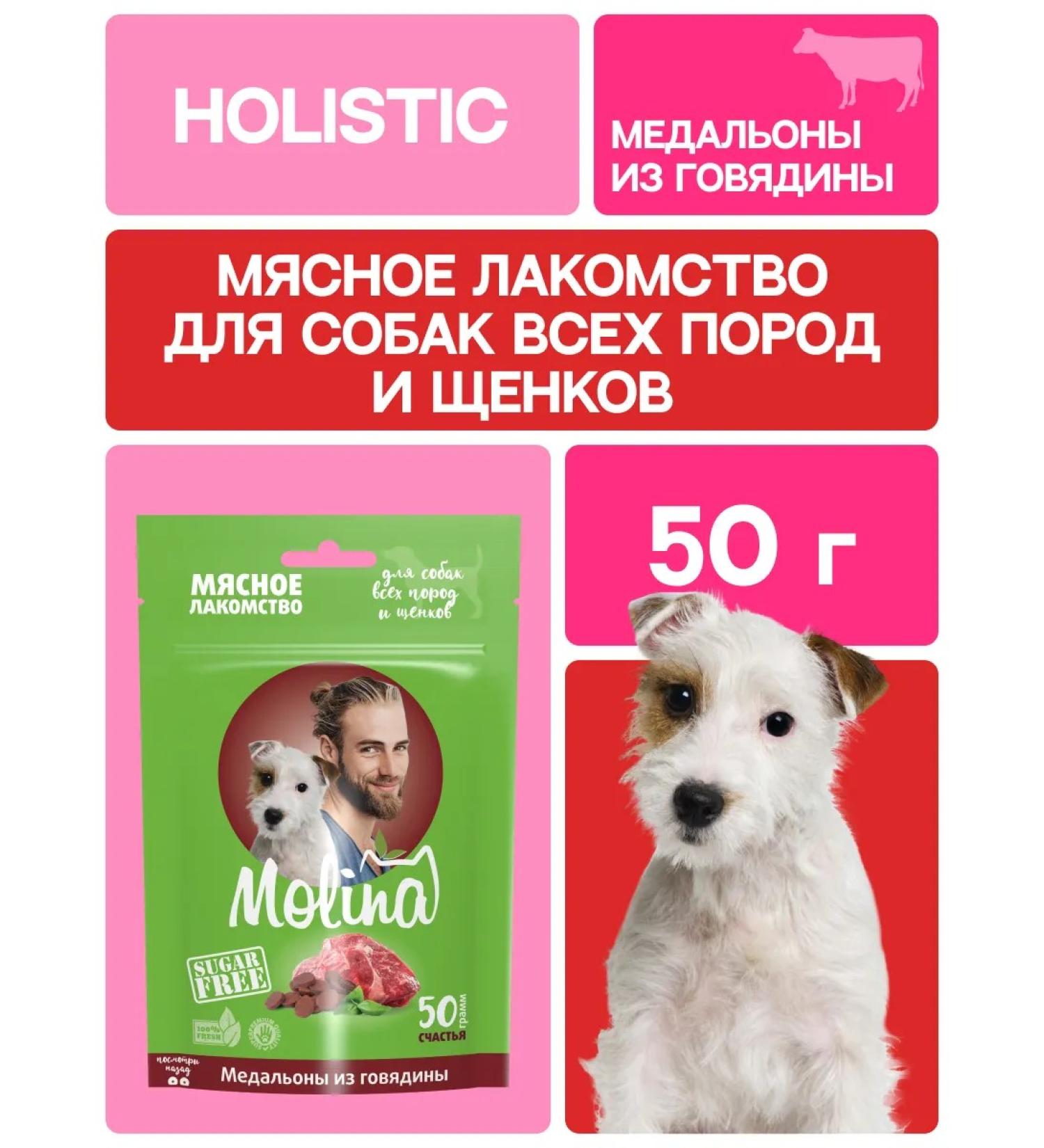 MOLINA Dog treat for all breeds and puppies - Buy Online on GoSupps.com