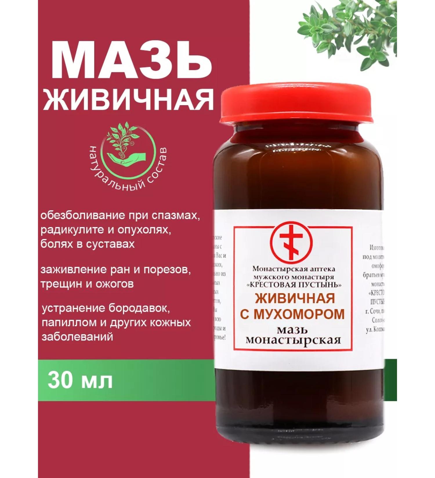 Bizoryuk Healing ointment with a gum for body and face 30 ml - Buy Online on GoSupps.com