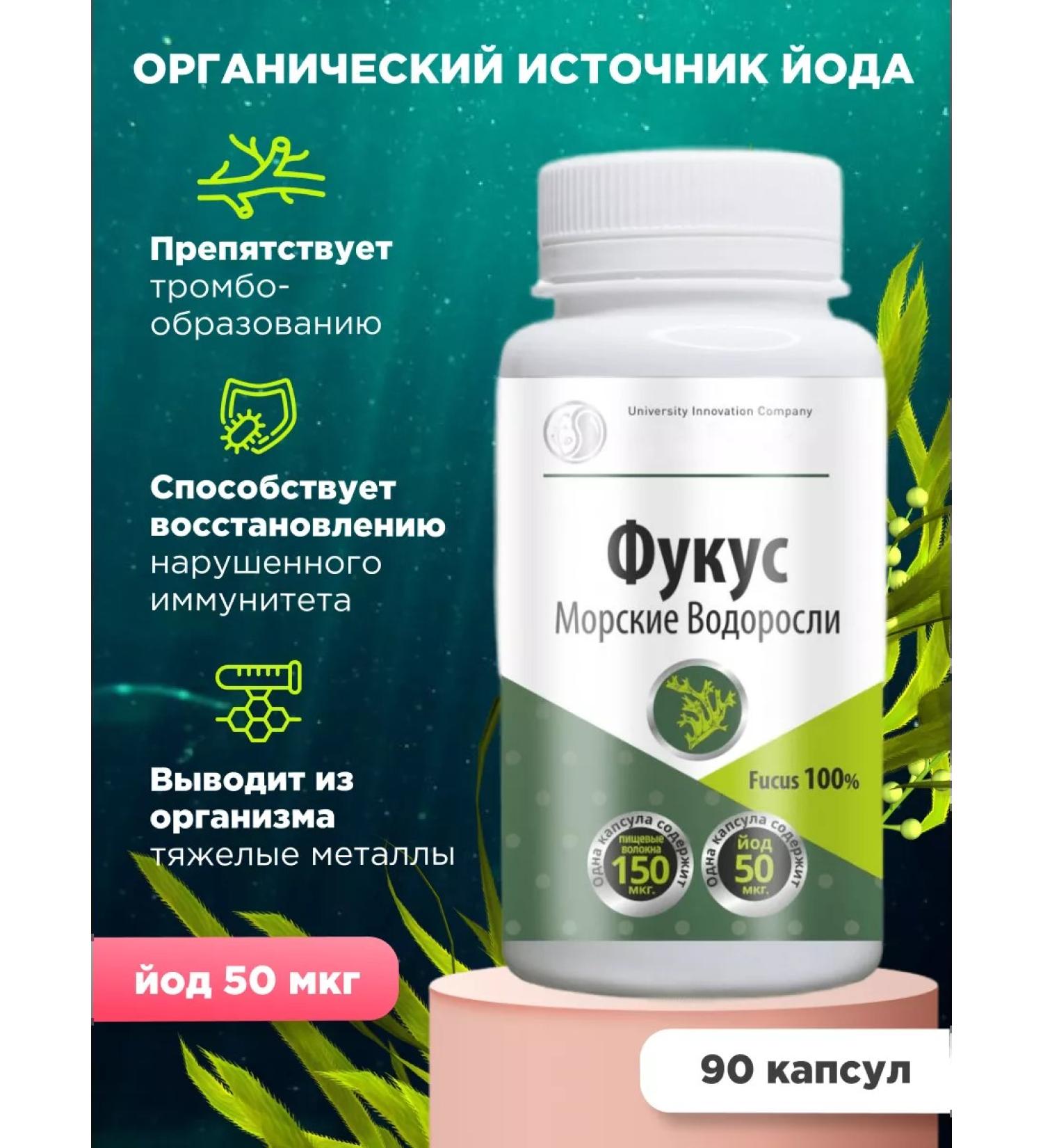 UNIC Litoral 90  - Buy Online on GoSupps.com