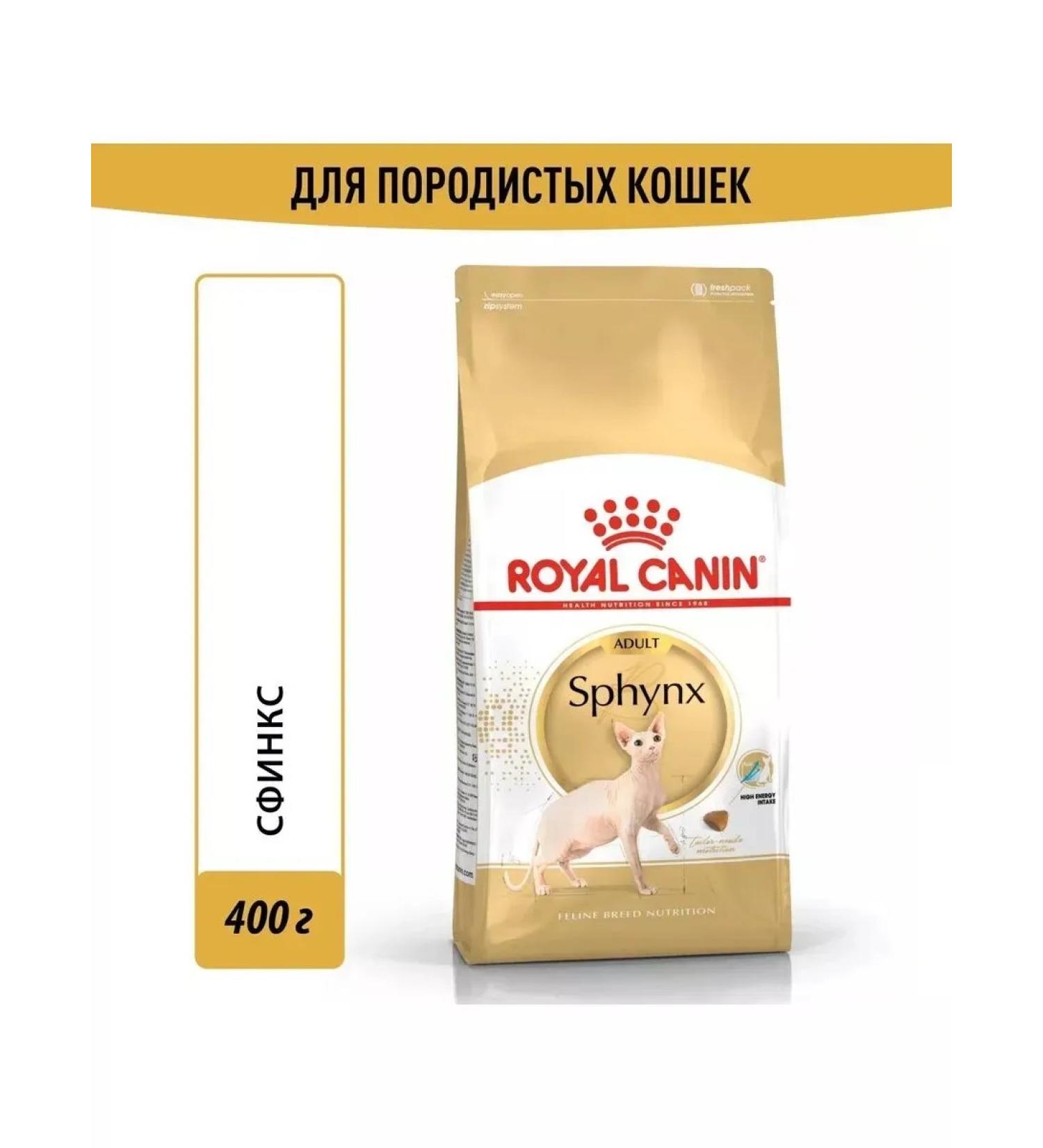 Royal Canin Person adult adult cats of Persian breed 4 kg - Buy Online on GoSupps.com