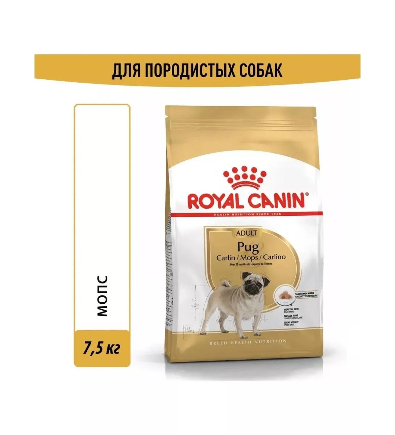 ROYAL CANIN Pug adult adult dogs pug 7.5 kg - Buy Online on GoSupps.com