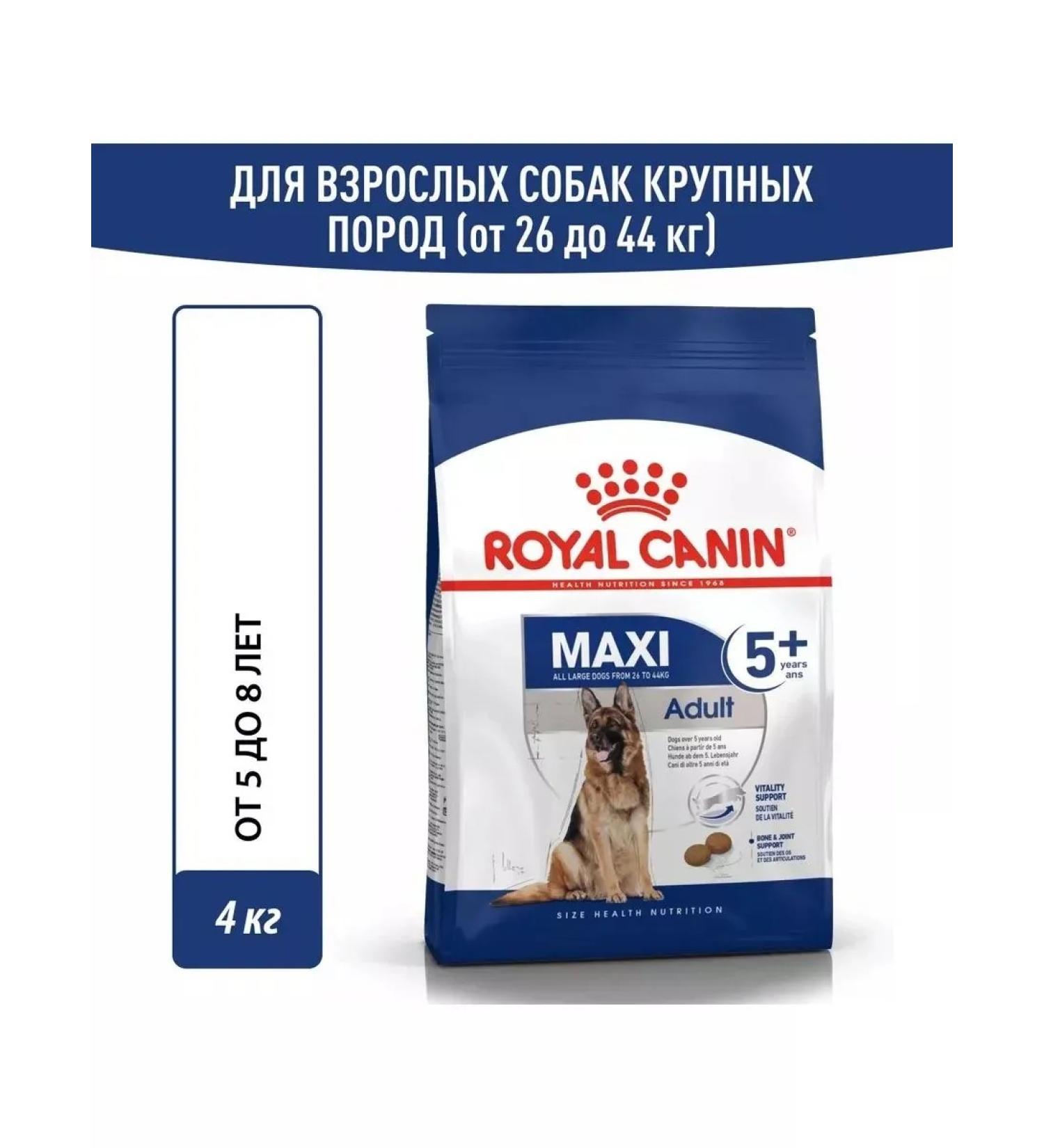 Royal Canin Maxi adult food for large dogs over 5 years old 4 kg - Buy Online on GoSupps.com