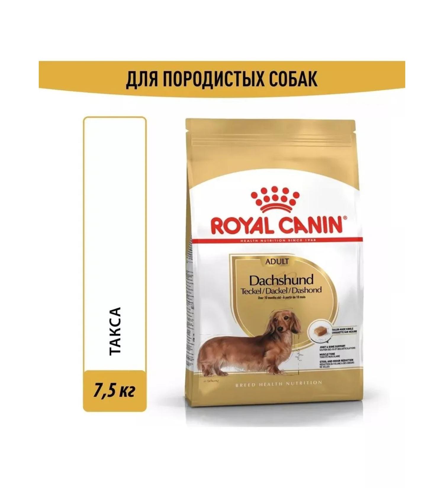 ROYAL CANIN Dachshund adult adult dogs of a fee of a dachshund 7.5 kg - Buy Online on GoSupps.com