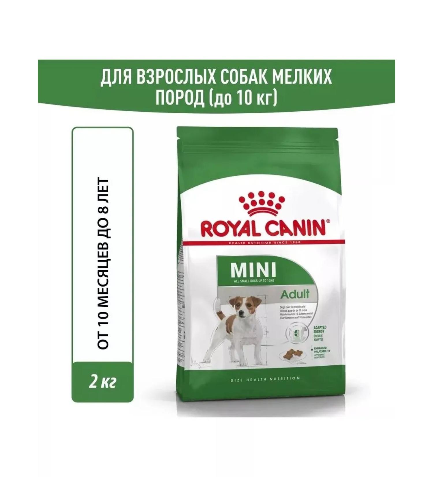 Royal Canin Mini adult adult dogs of small breeds 2kg - Buy Online on GoSupps.com