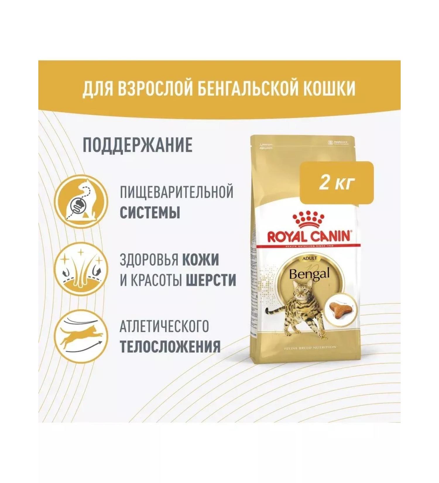 Royal Canin Bengal adult adult cats Bengal 2kg - Buy Online on GoSupps.com