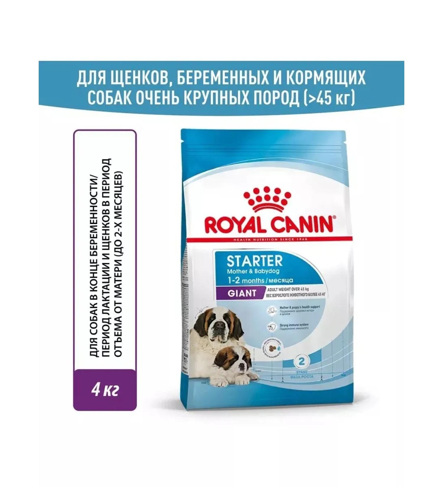 ROYAL CANIN Giant Starter food for giant puppies up to 2 months 4 kg - Buy Online on GoSupps.com