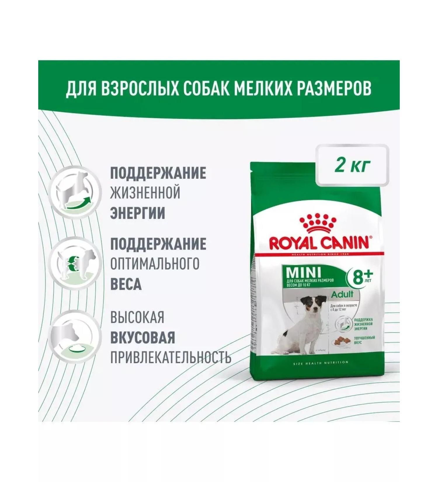 Royal Canin Mini adult 8+ Feed for elderly dogs of small rocks 2kg - Buy Online on GoSupps.com