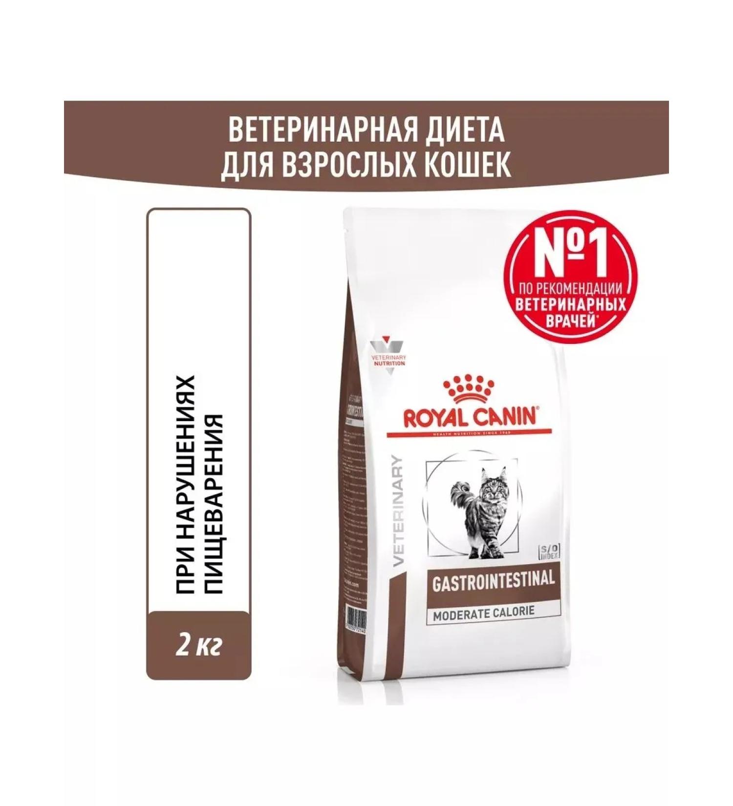 ROYAL CANIN Gastrointestinal food for cats for gastrointestinal gastrointestinal - Buy Online on GoSupps.com