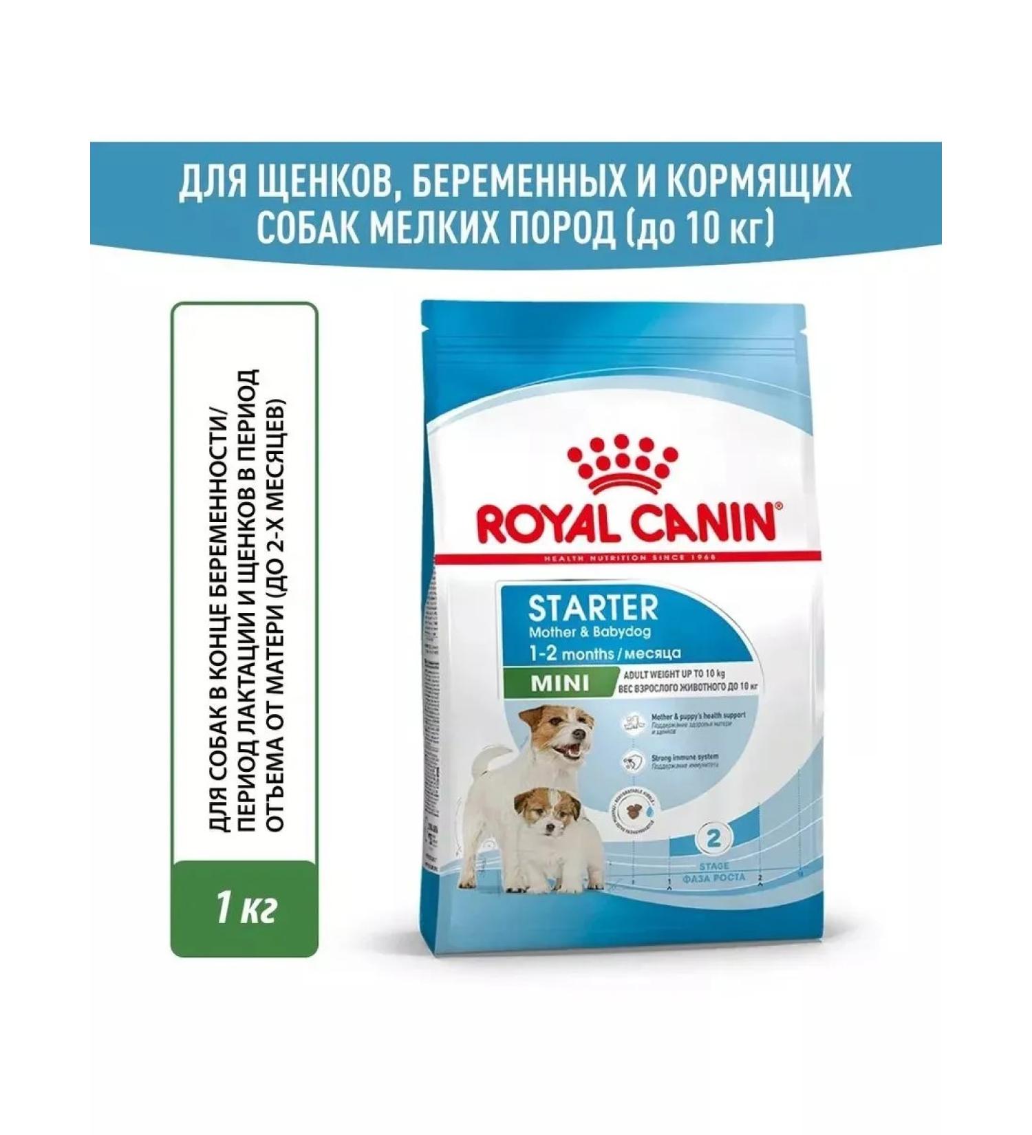 ROYAL CANIN Mini Starter storm for small breed puppies up to 2 months 1 kg - Buy Online on GoSupps.com