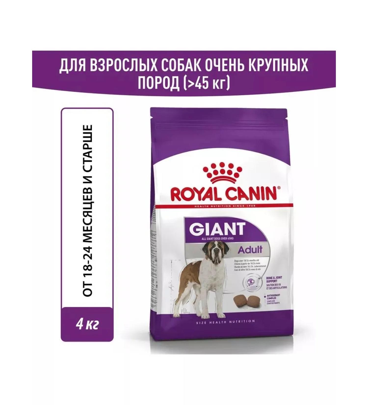 Royal Canin Giant adult adult giant dogs 4 kg - Buy Online on GoSupps.com