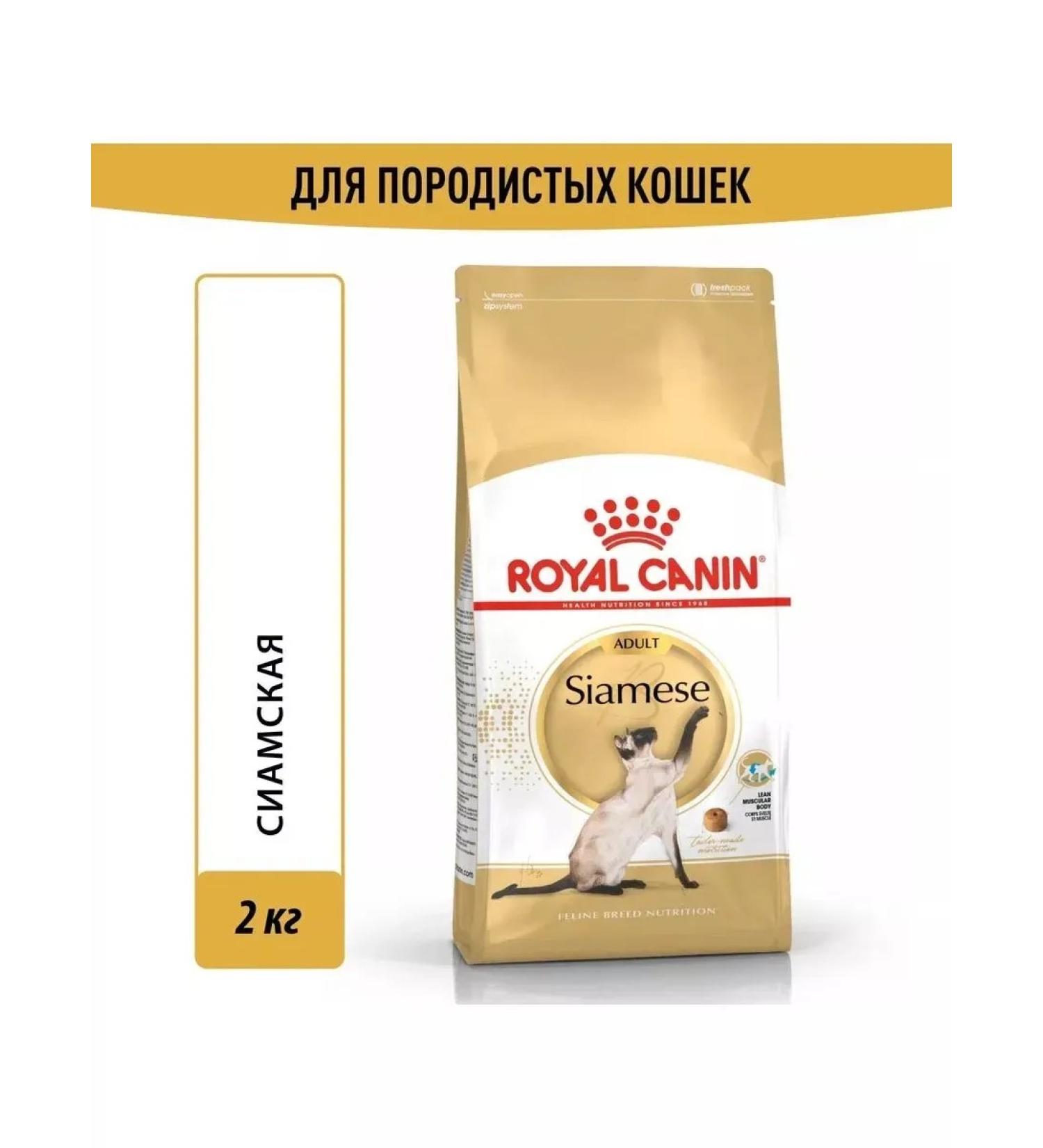 ROYAL CANIN Siamese adult adult cats of Siamese breed 2kg - Buy Online on GoSupps.com