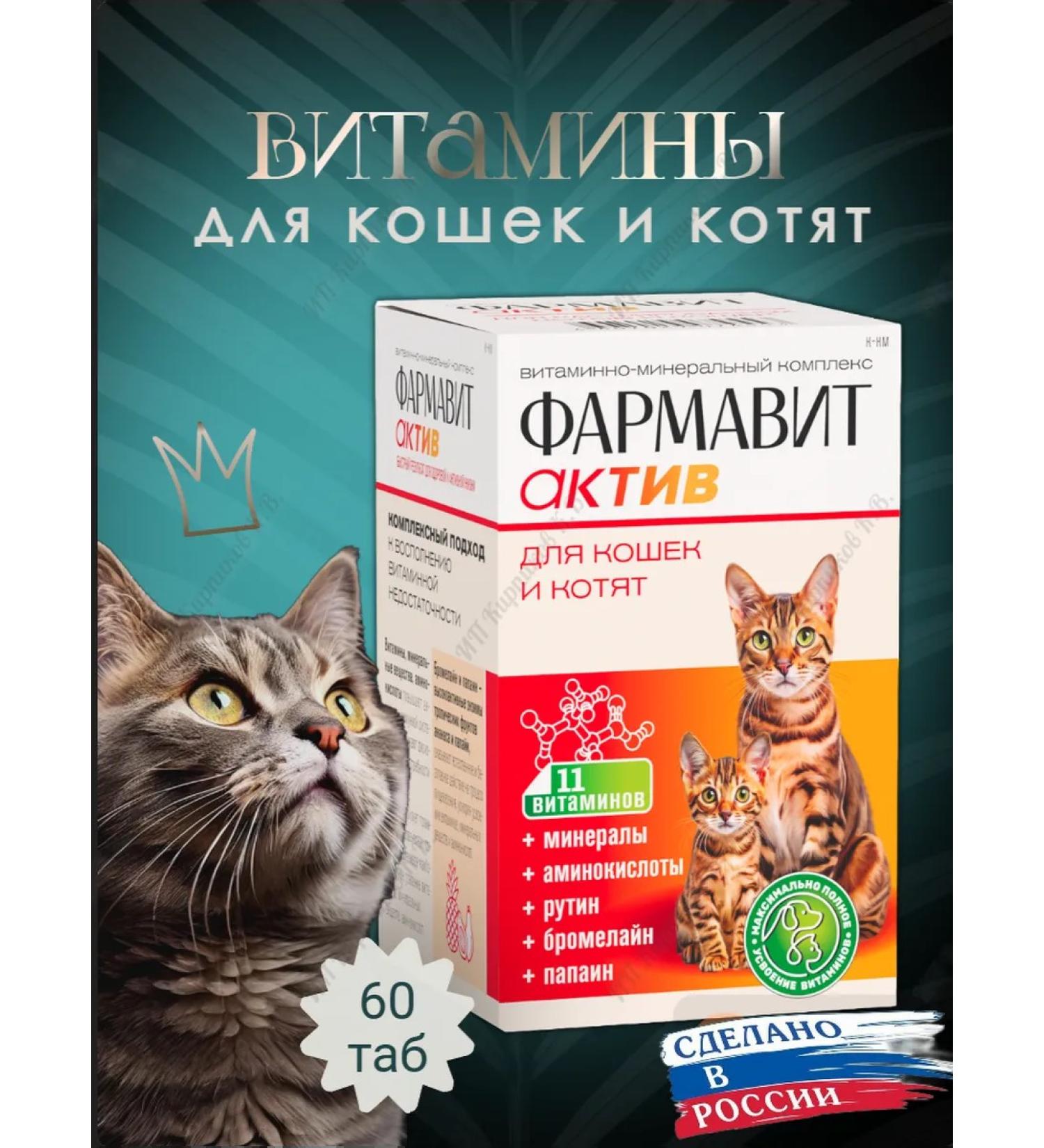 Farmavit Active Vitamins of pregnant and nursing cats and their children - Buy Online on GoSupps.com