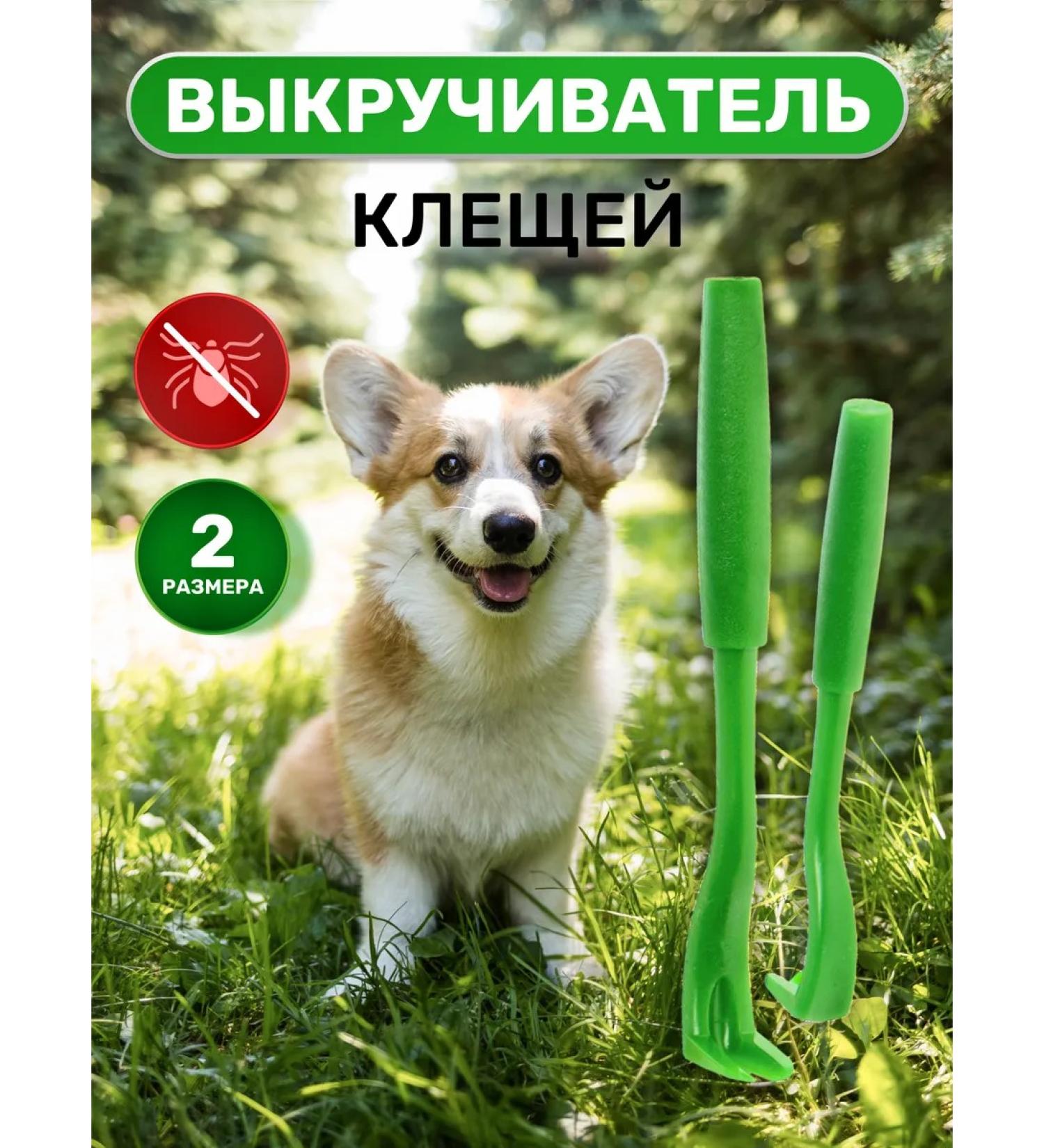 Petit Tickle Ticks Box 2 pcs - Buy Online on GoSupps.com