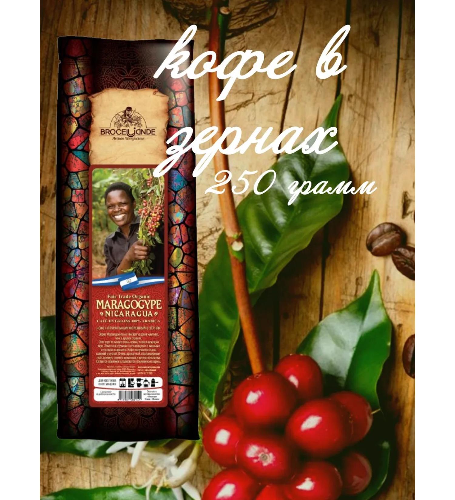 Broceliande Coffee in grains Broseliad Nicaragua 250 grams