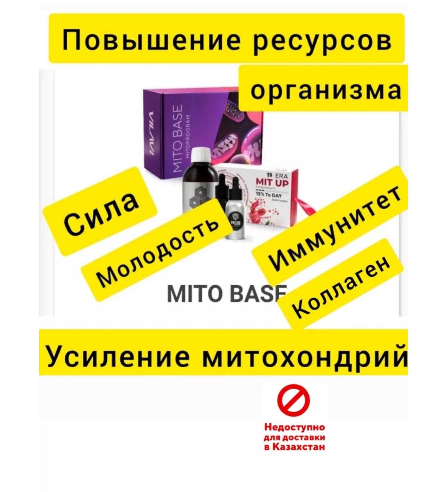 taiga 8 MITO BASE MITO BAZ Extra+Stone+Mobo+MIT AP - Buy Online on GoSupps.com