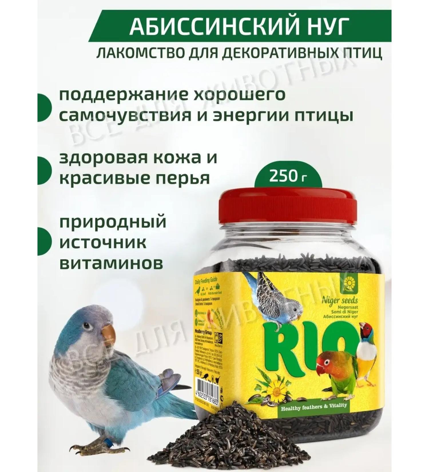 RIO Bird treat "Abyssinian nug" Bird vitamins - Buy Online on GoSupps.com