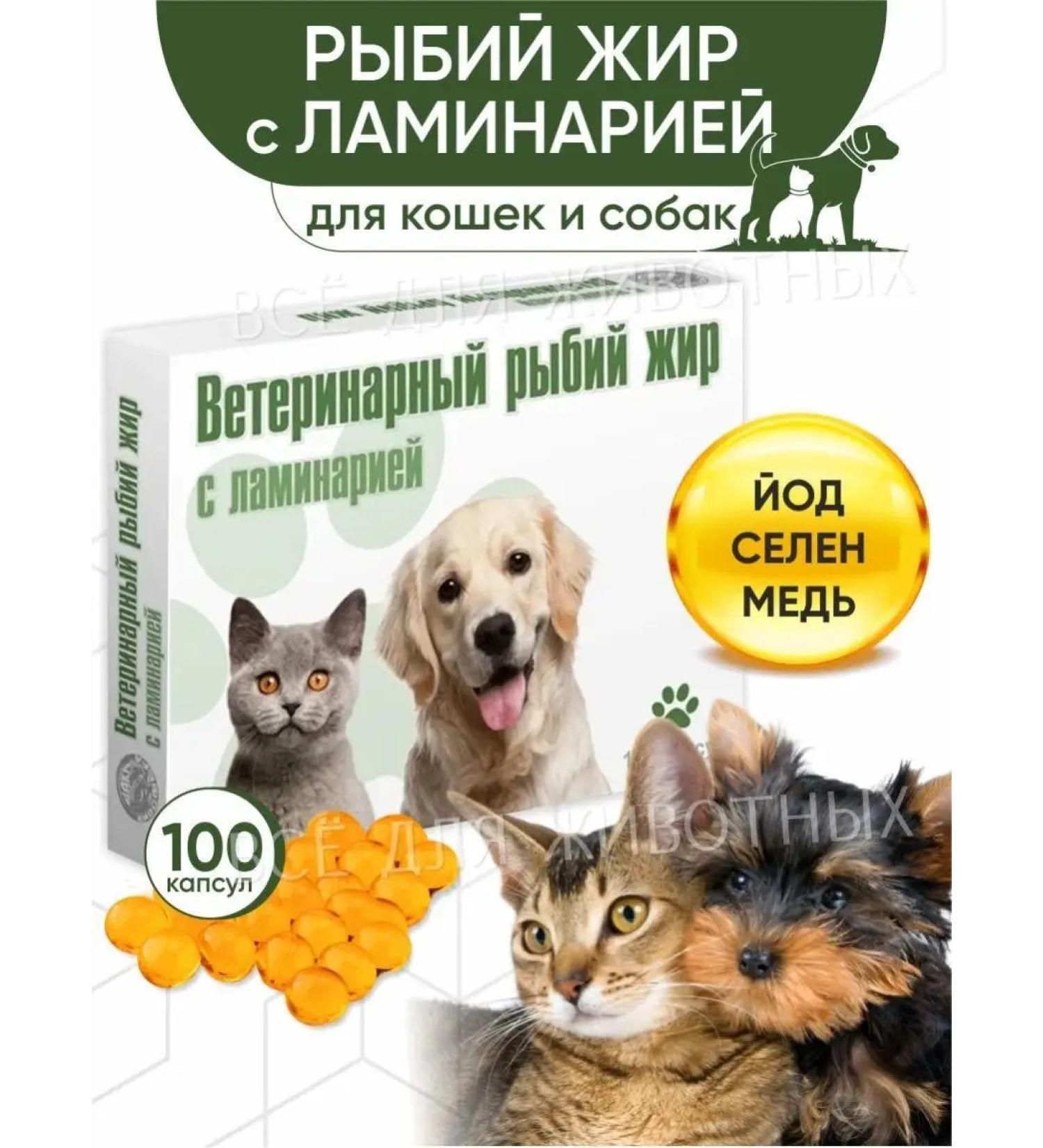VAKA Veterinary fish fat for cats and dogs with kelp - Buy Online on GoSupps.com