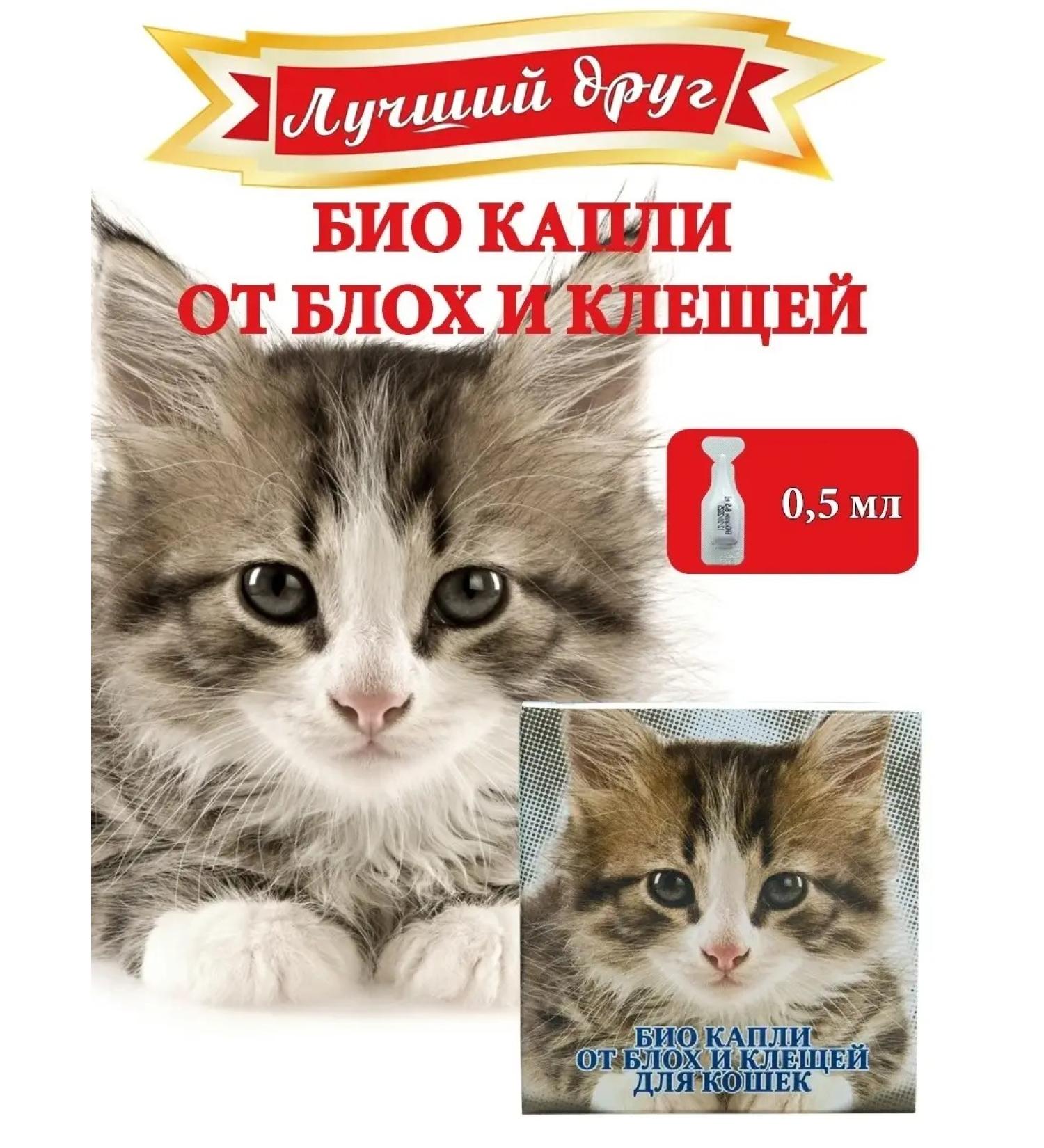 Best friend Bio drops from fleas and ticks for cats 0.5 ml 1 pipette - Buy Online on GoSupps.com