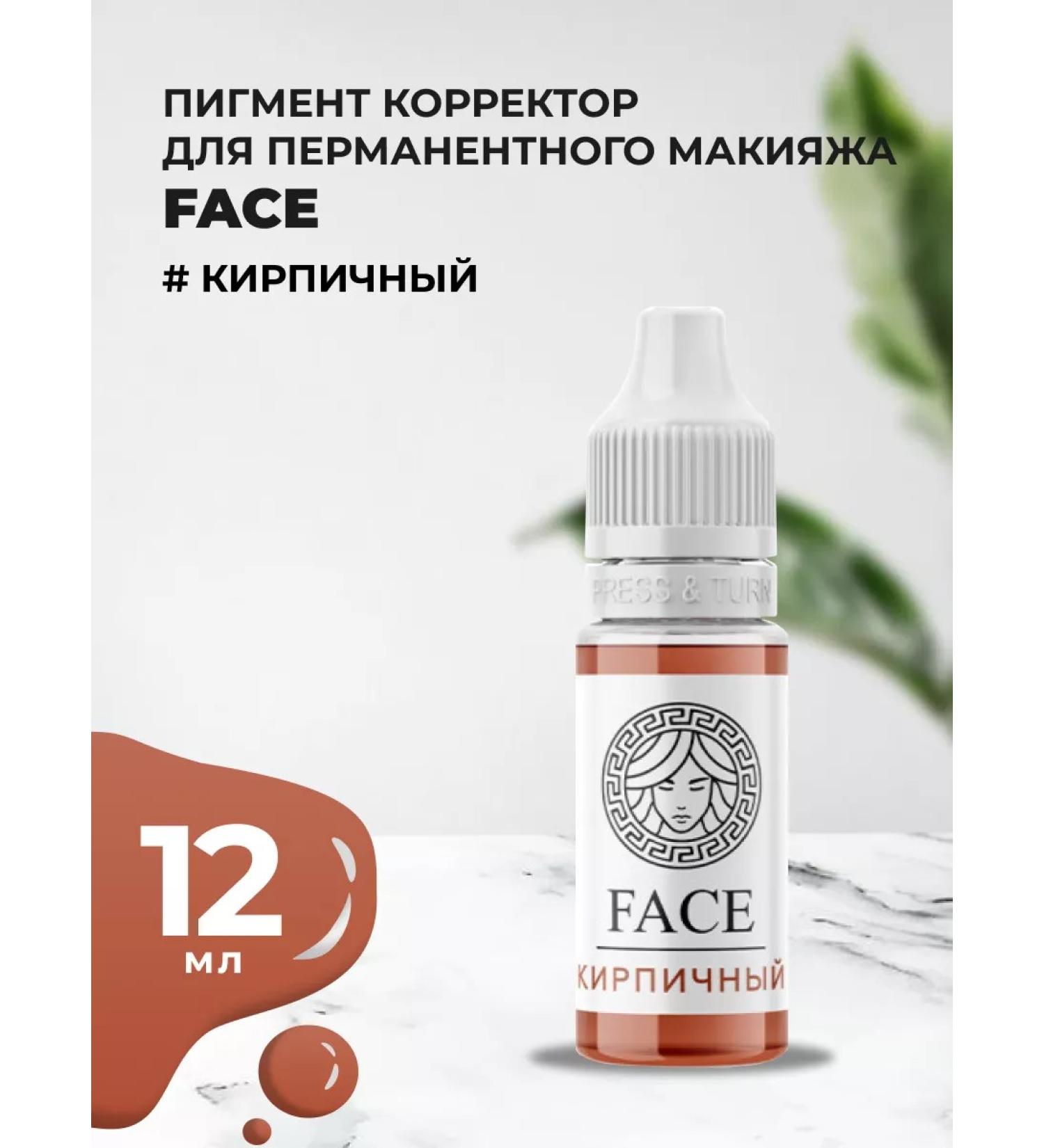 Face Company Face Pigment corrector and eyebrow tattoo is brick 12ml - Buy Online on GoSupps.com