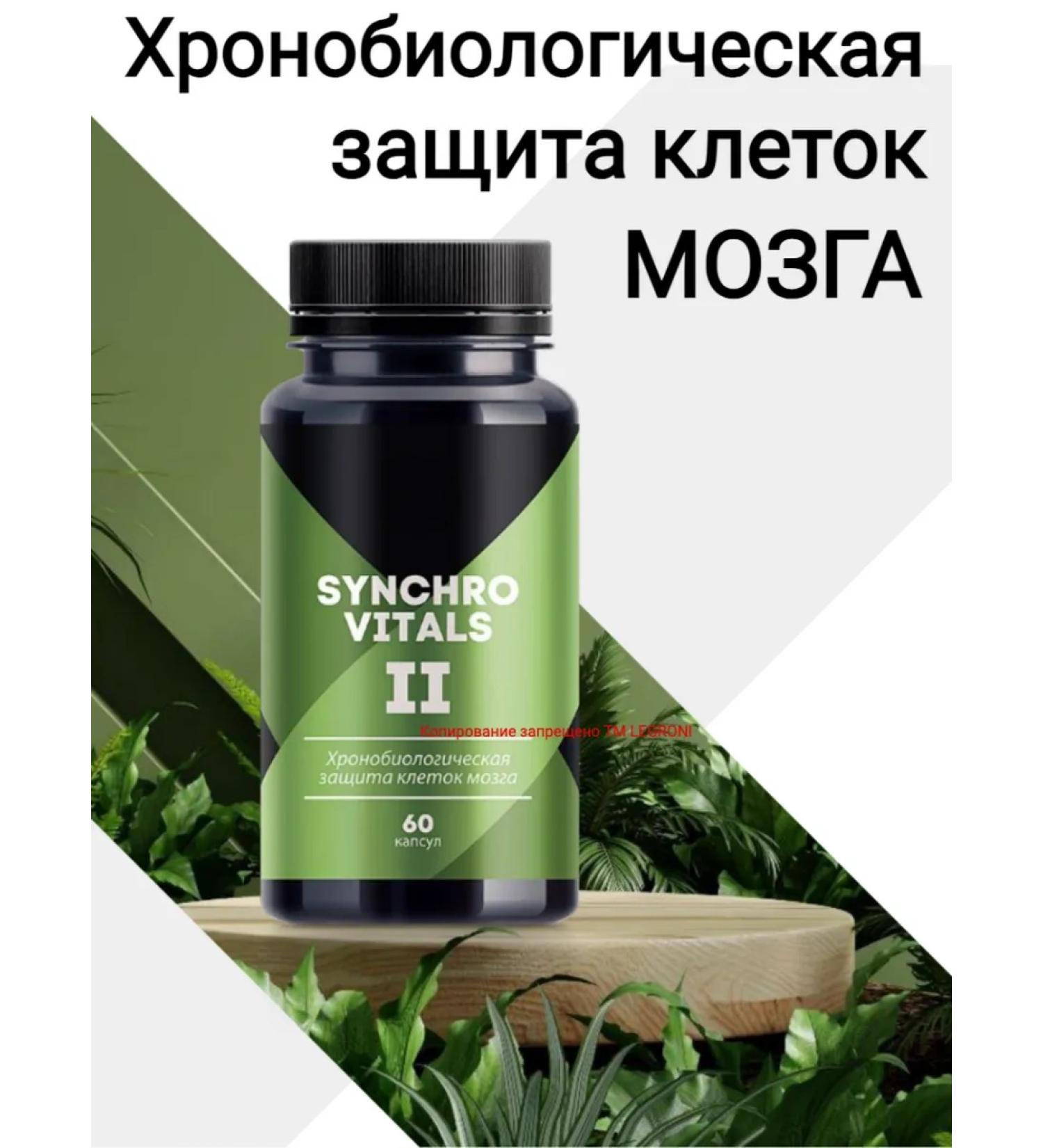 Siberian immunity Vitamins for the brain - Buy Online on GoSupps.com
