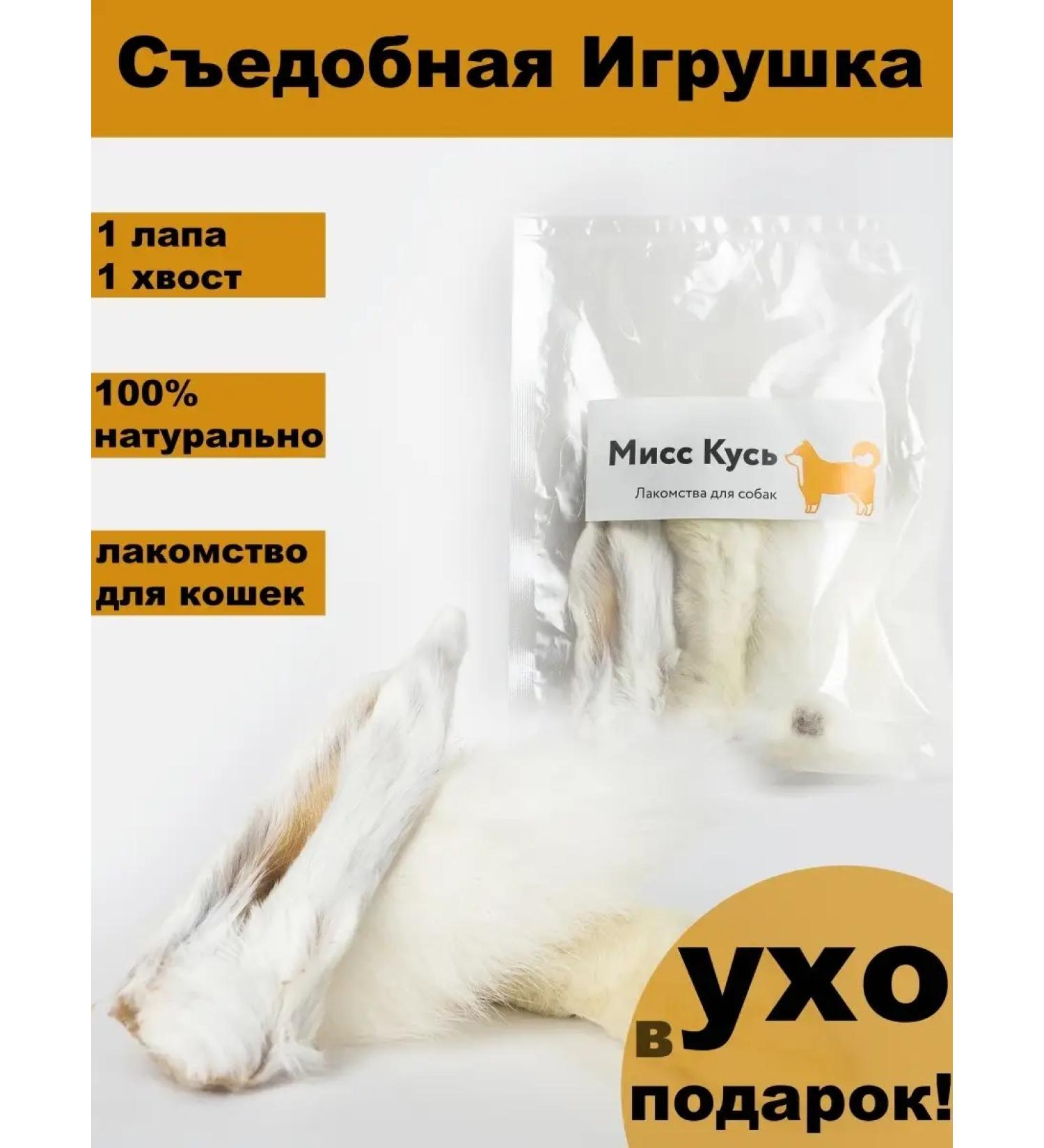 Miss Kyss Game set rabbit rabbit paw of a rabbit - Buy Online on GoSupps.com