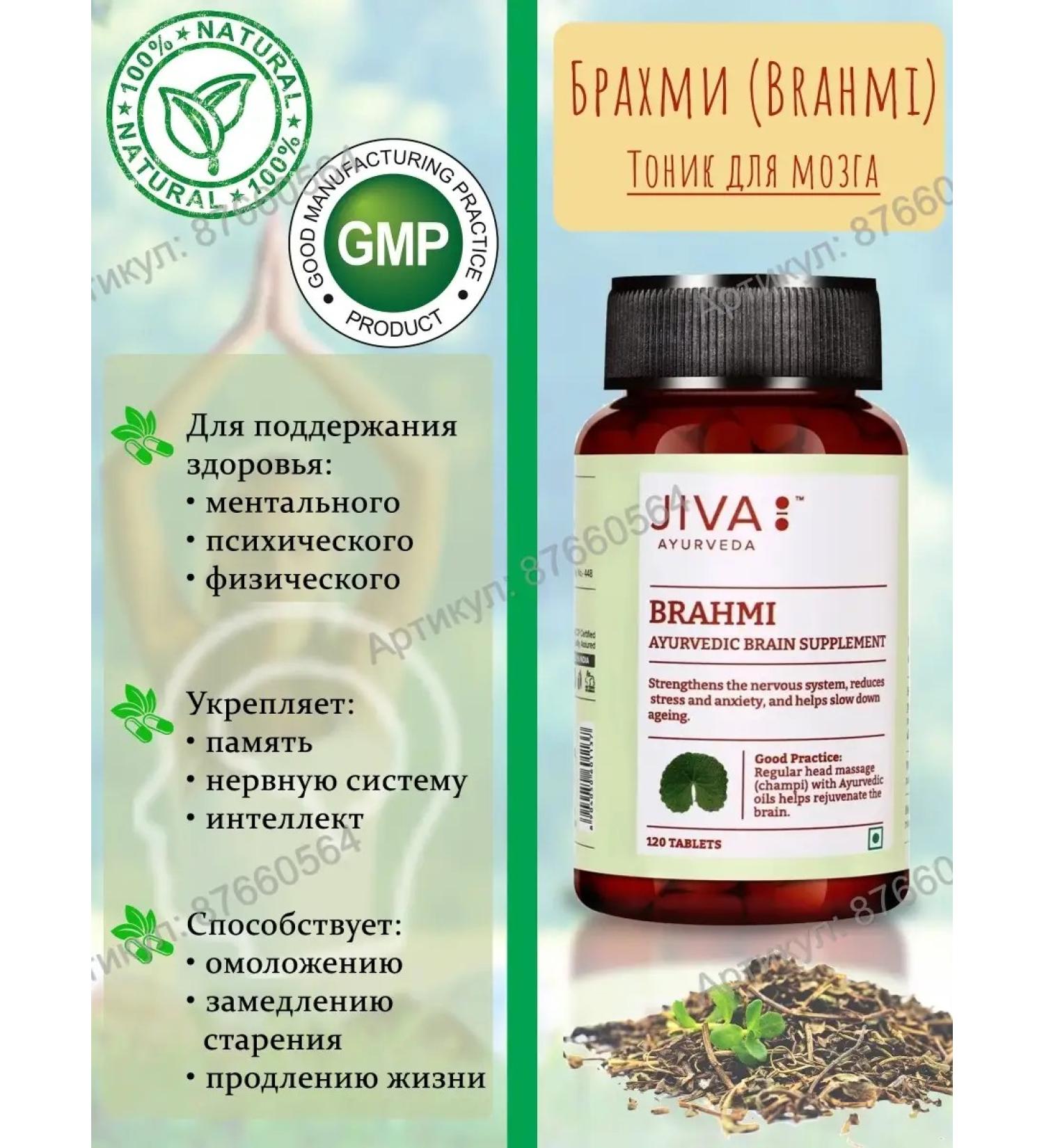 Jiva Ayurveda Brahmi tonic for the brain 120 tab. (500 mg.) - Buy Online on GoSupps.com