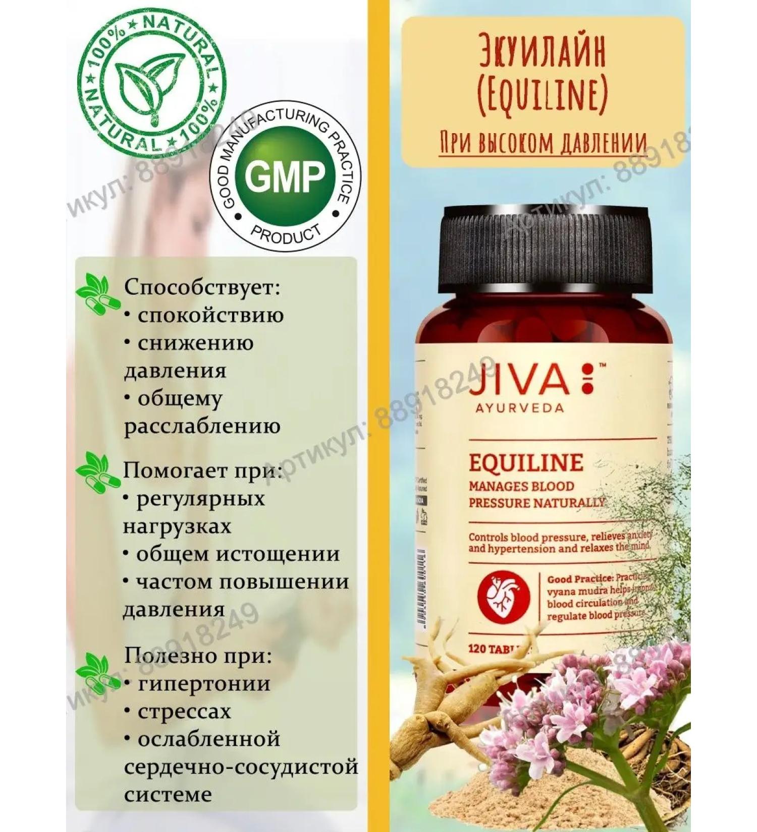 Jiva Ayurveda Ecuine (Equiline) 120 tablets - Buy Online on GoSupps.com