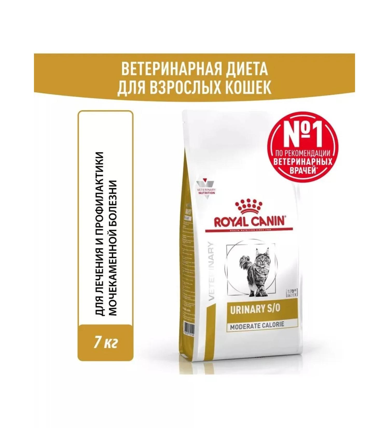 ROYAL CANIN Adult cat food with ICD and overweight 7kg - Buy Online on GoSupps.com