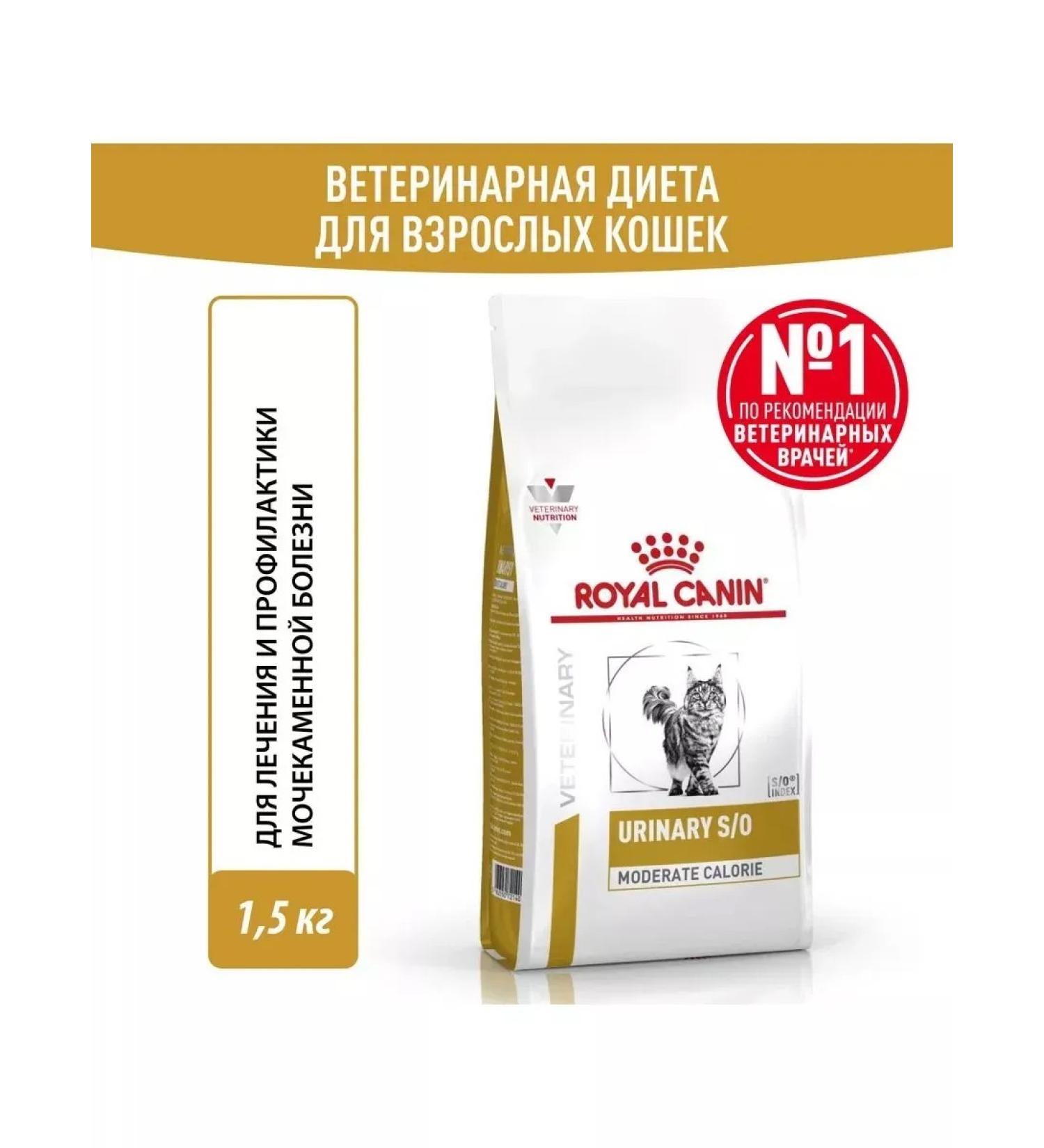 ROYAL CANIN Adult cat food with ICD and overweight 1.5 kg - Buy Online on GoSupps.com