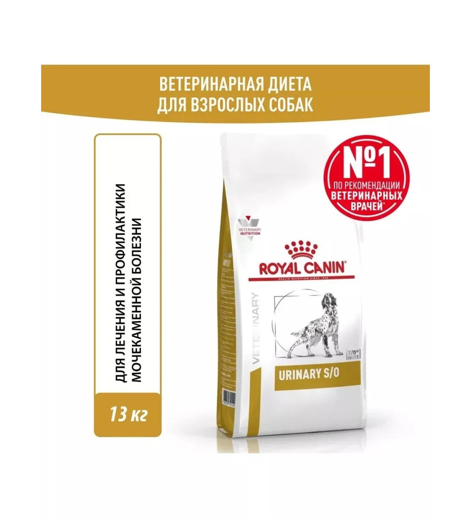 ROYAL CANIN Feed for adults and elderly dogs at ICD 13 kg - Buy Online on GoSupps.com