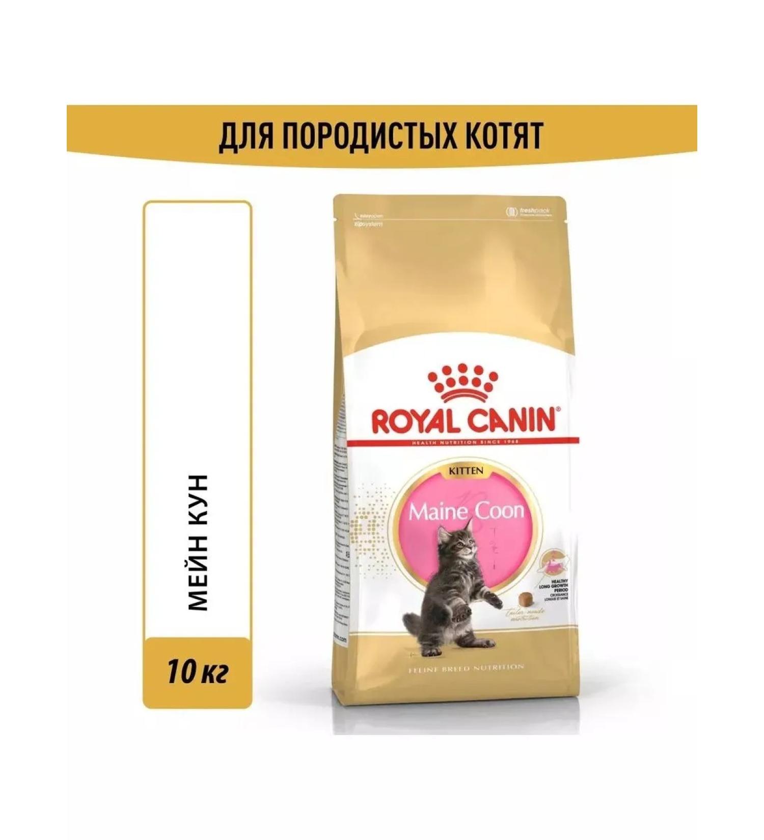 ROYAL CANIN Feed for kittens of the breed of Main Kun and other large rocks 10 kg - Buy Online on GoSupps.com