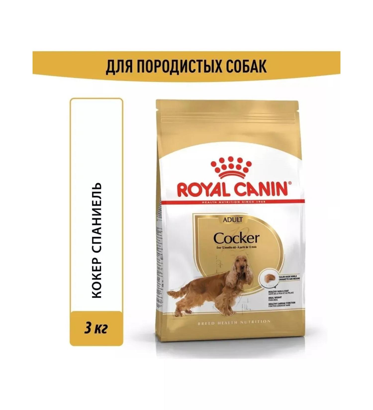 ROYAL CANIN Adult dog feeds breed cocker spaniel 3kg - Buy Online on GoSupps.com